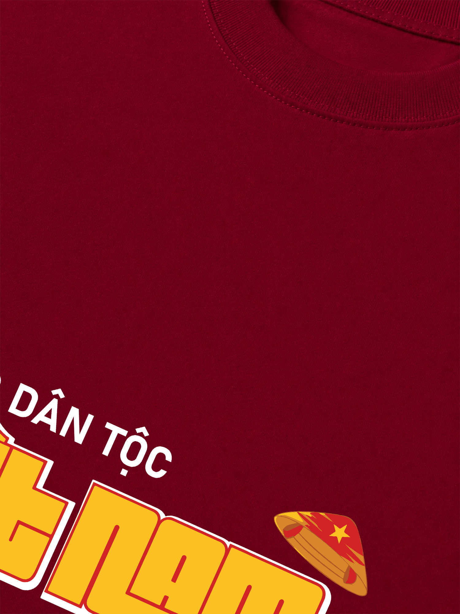 Áo Thun Relaxed Fit Tự Hào Dân Tộc Việt Nam