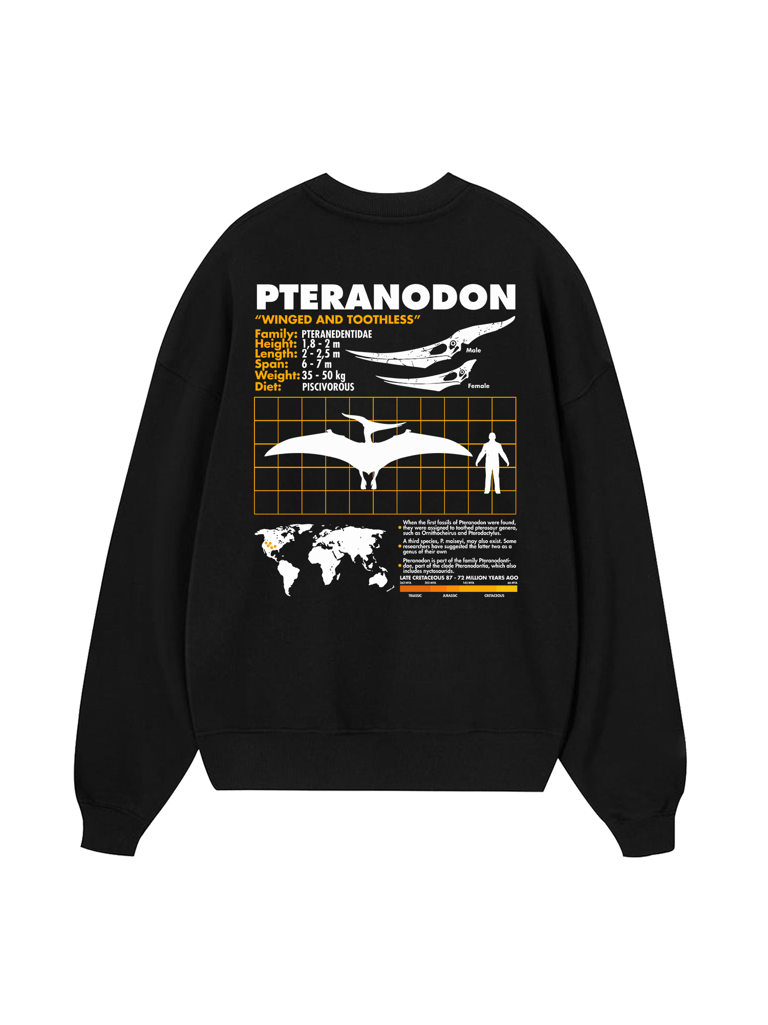 Wild Life Analysis Table Pteranodon Sweater