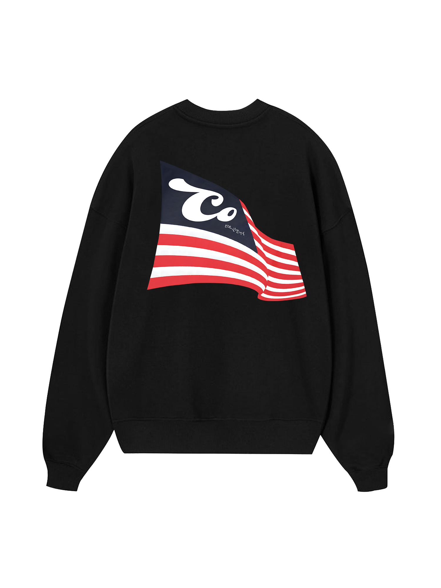 USA Cotton USA Flag Sweater