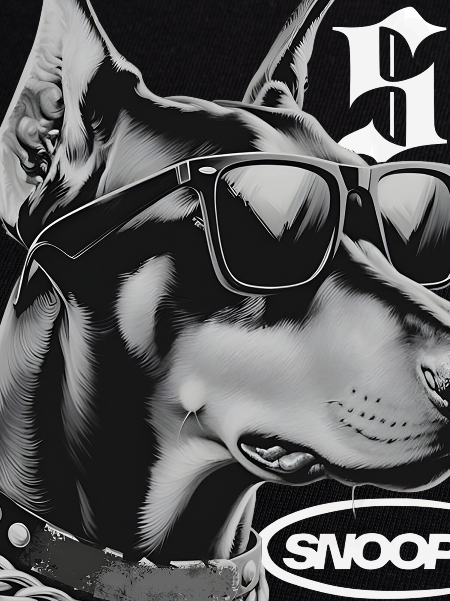 Áo Thun Ringer Relaxed Fit Rapper Funny Snoop Dog