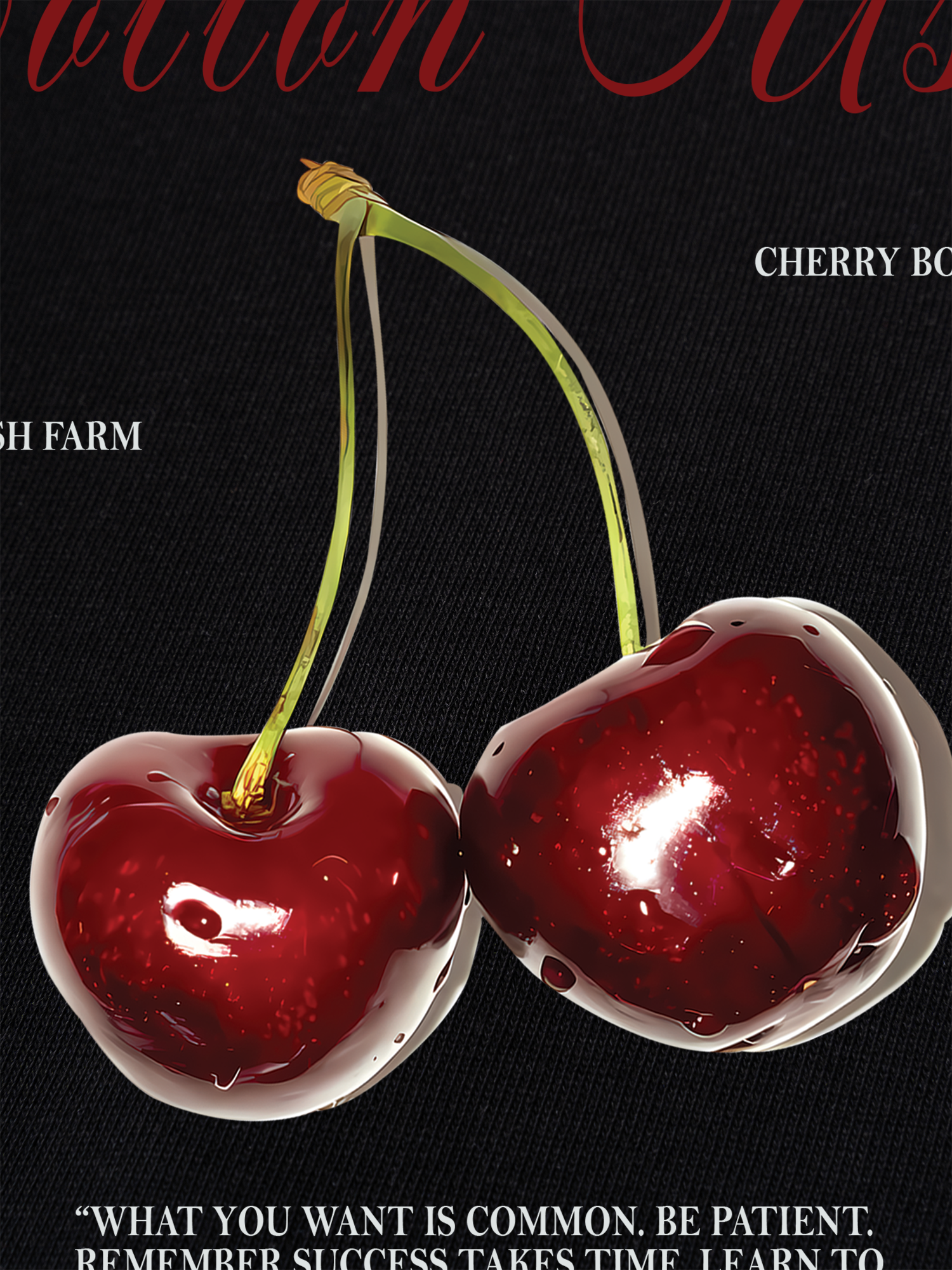 Áo Thun Ringer Relaxed Fit Cherry Classic Cherru Club Pink Plaid