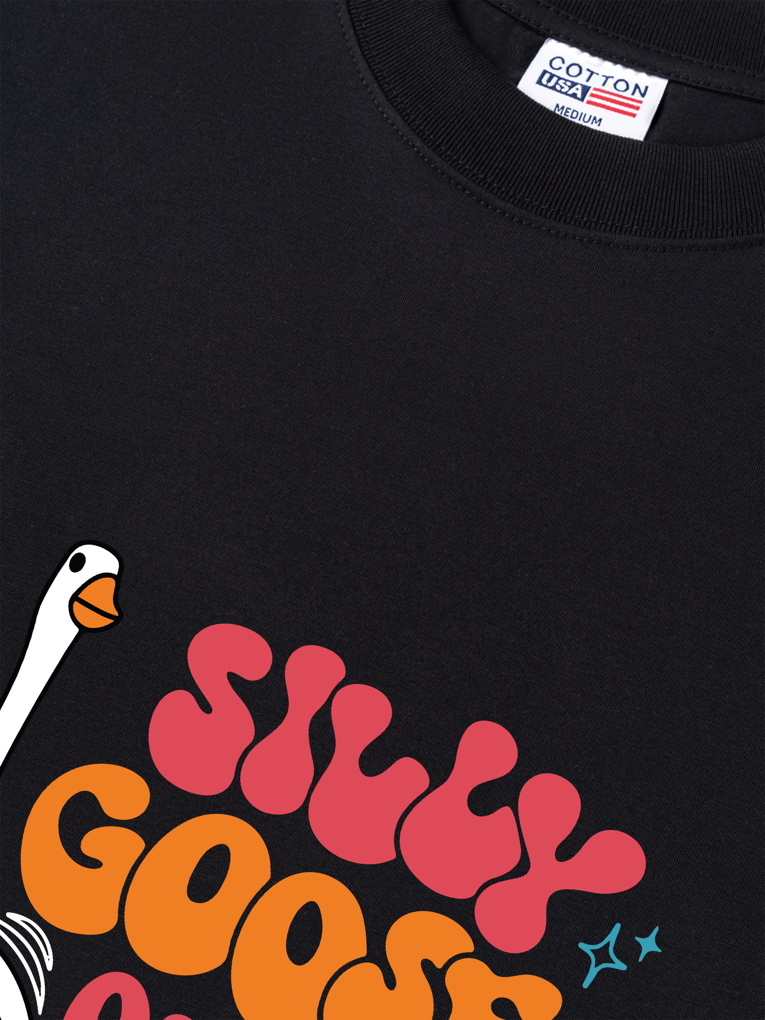 Áo Thun Relaxed Fit Farm Silly Goose On The Loose