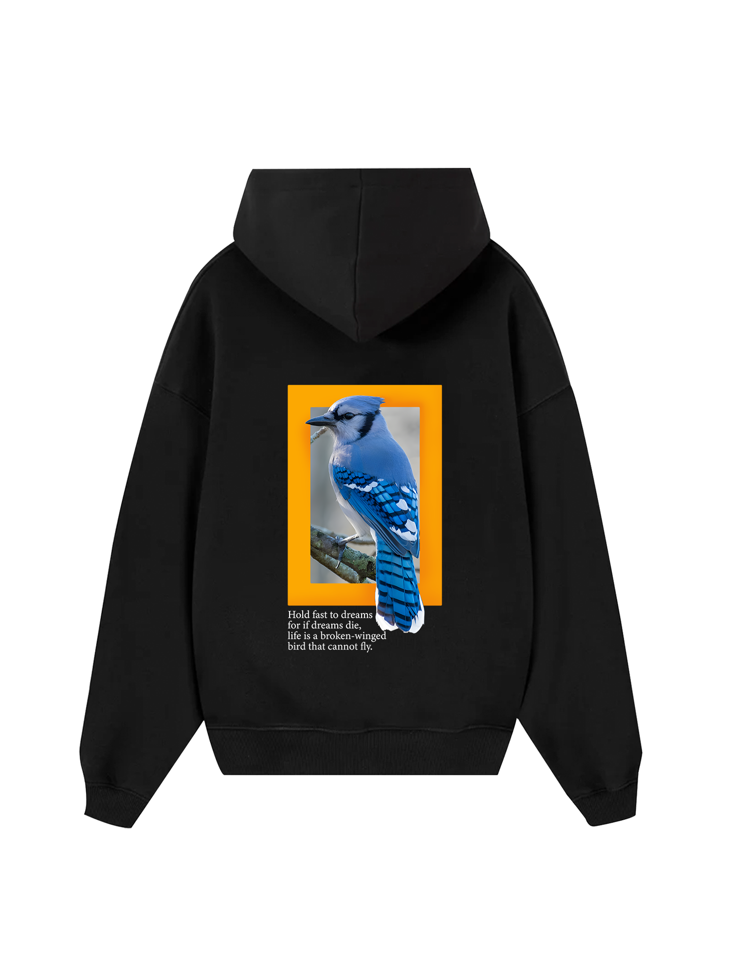 Wild Life Hold Fast To Dreams Hoodie