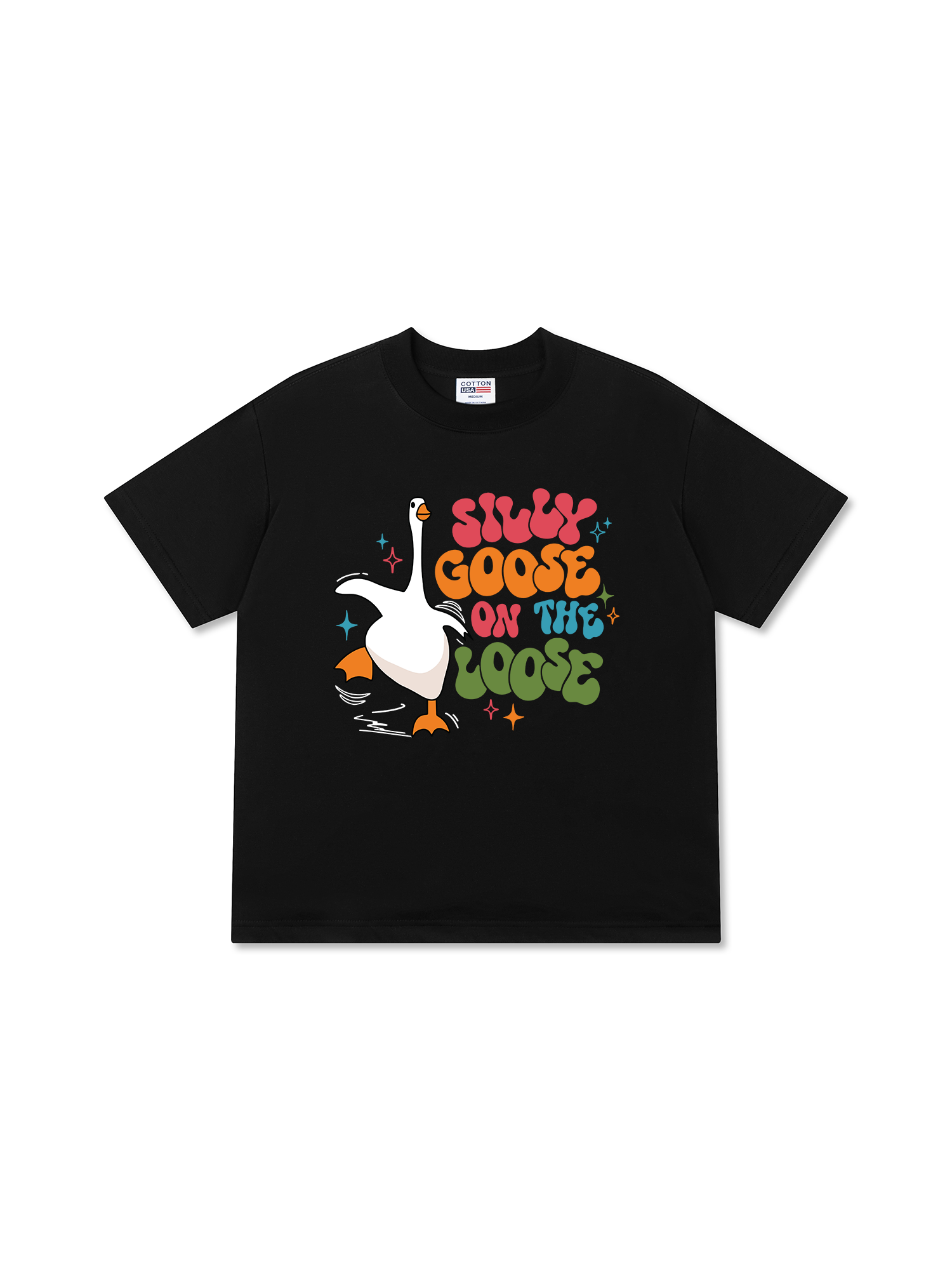 Áo Thun Relaxed Fit Farm Silly Goose On The Loose