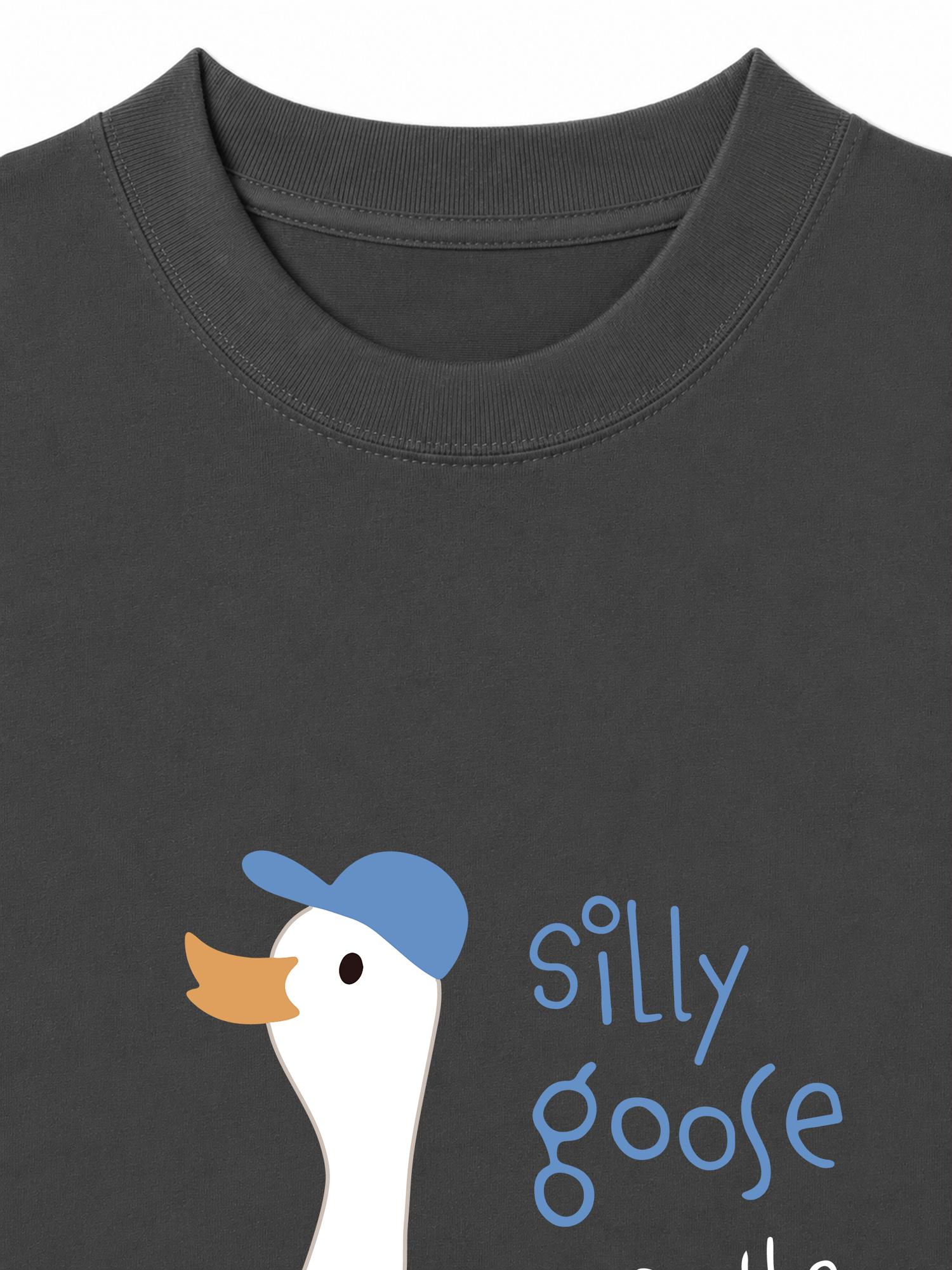 Áo Thun Relaxed Fit Farm Silly Goose On The Loose