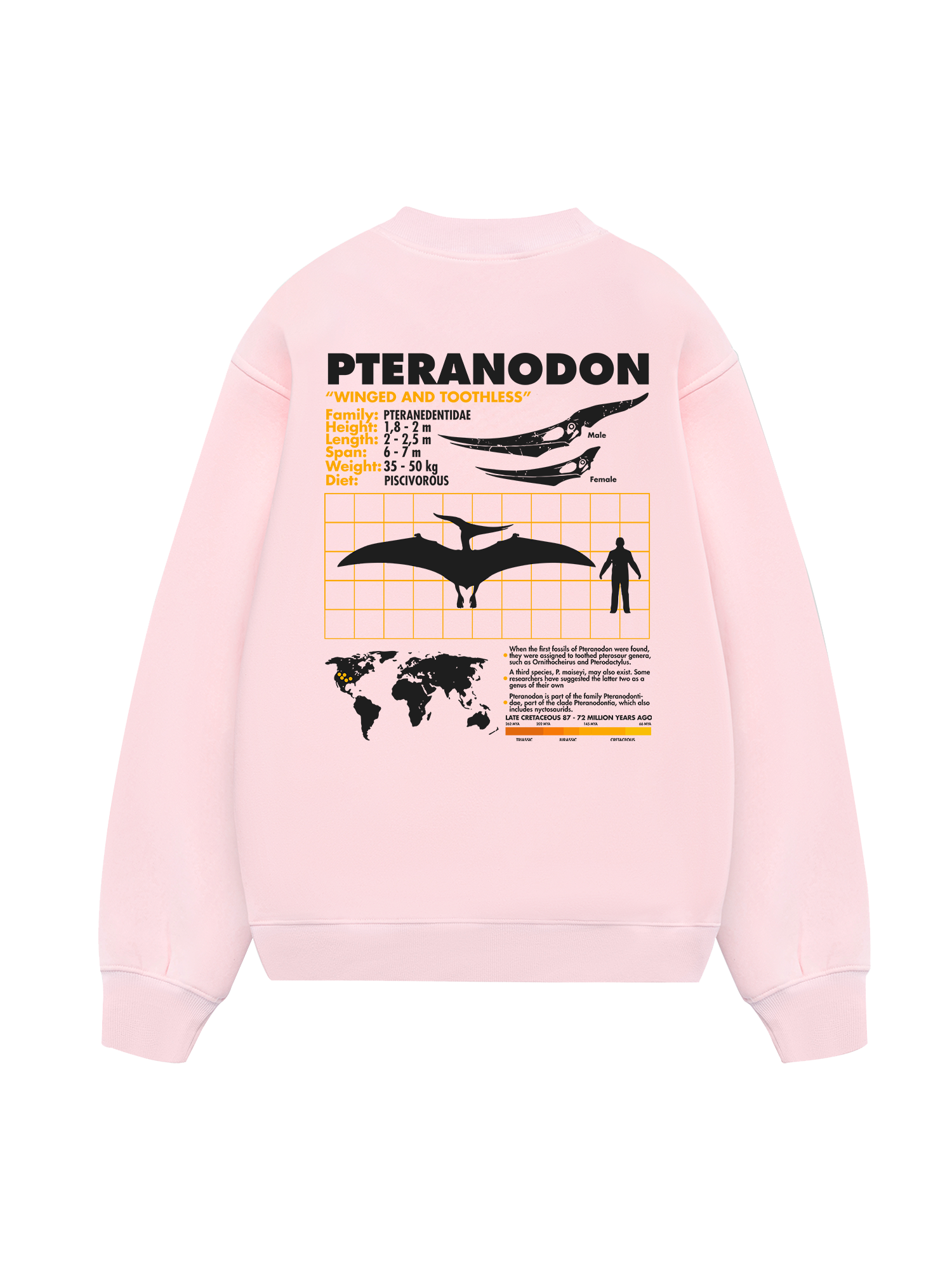 Wild Life Analysis Table Pteranodon Sweater