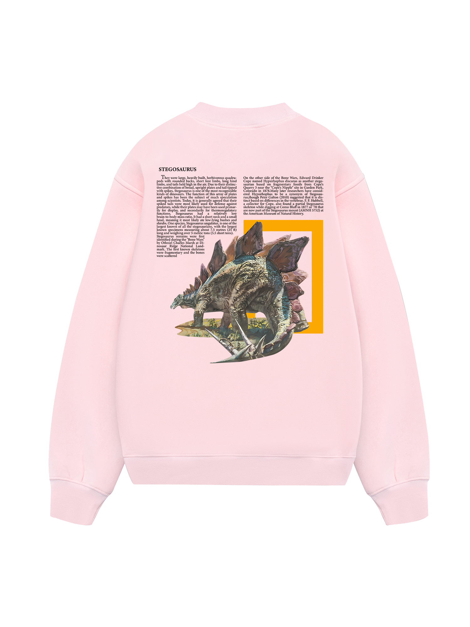 Wild Life Stegosaurus Sweater