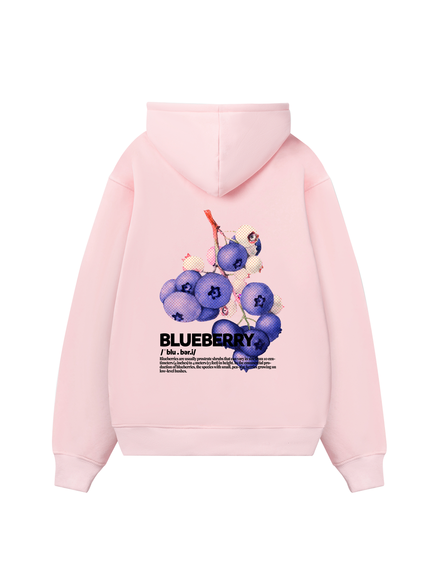Tropical Blue Berry Retro Hoodie