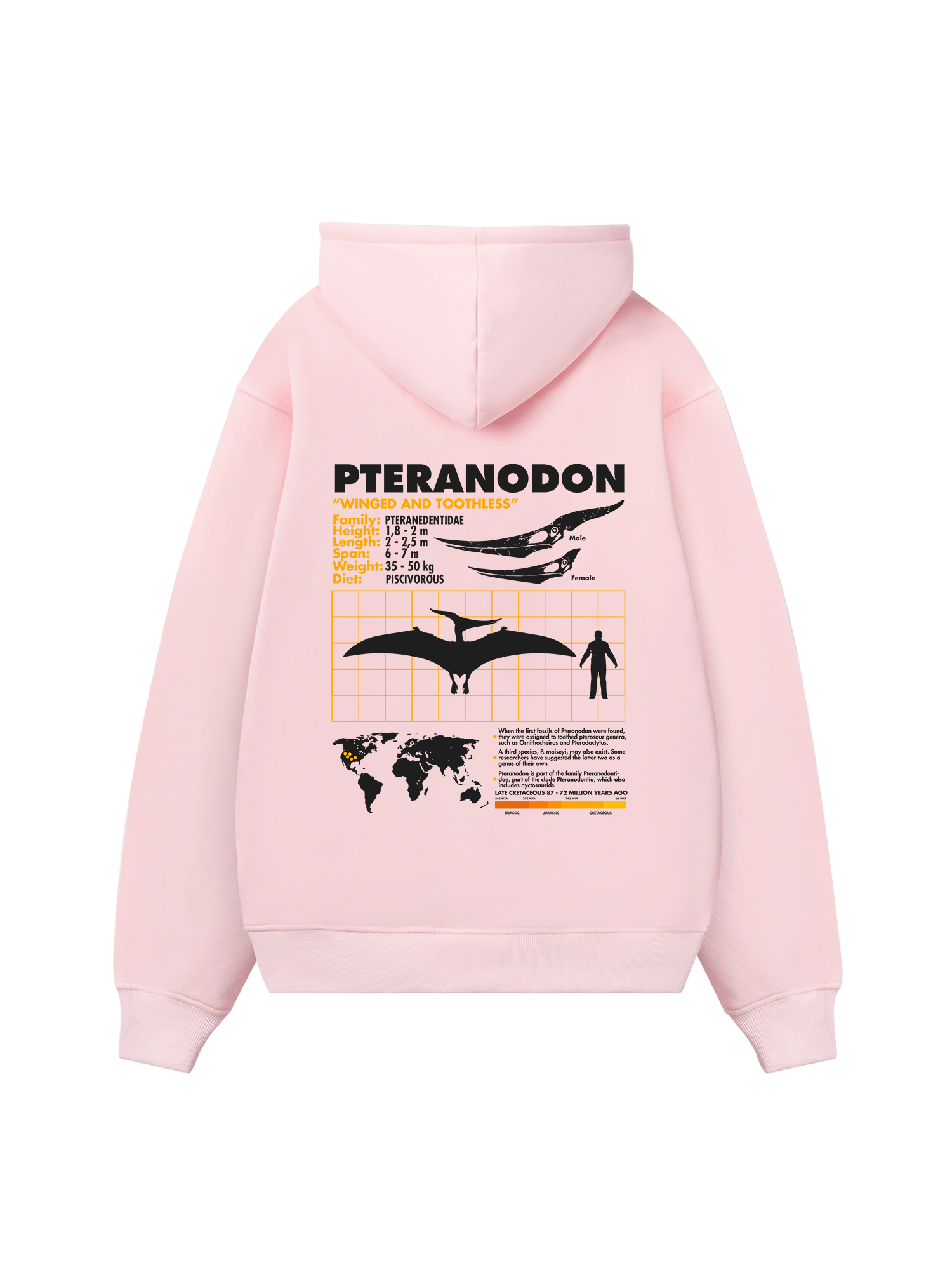 Wild Life Analysis Table Pteranodon Hoodie