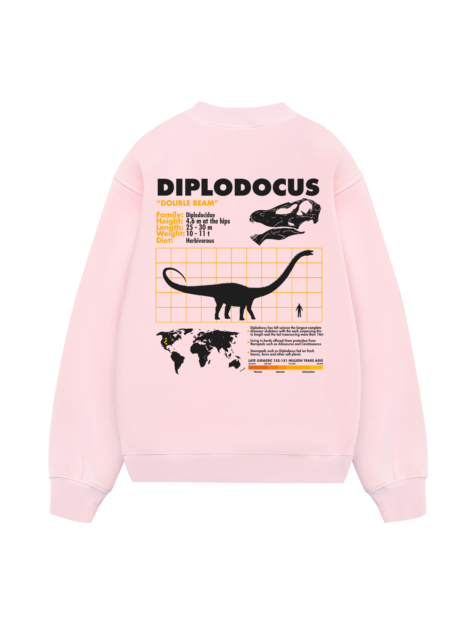 Wild Life Analysis Table Diplodocus Sweater