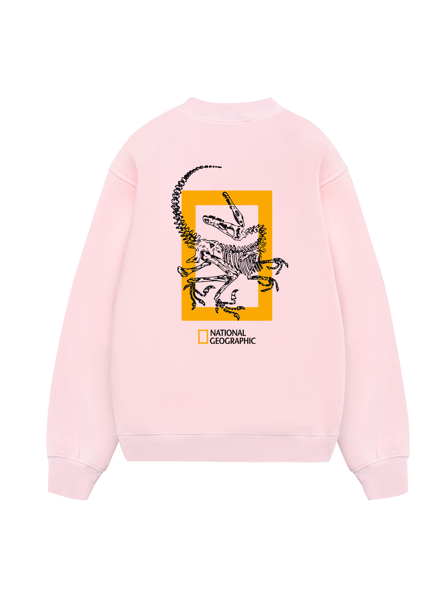 Wild Life The Fossil Raptor Sweater