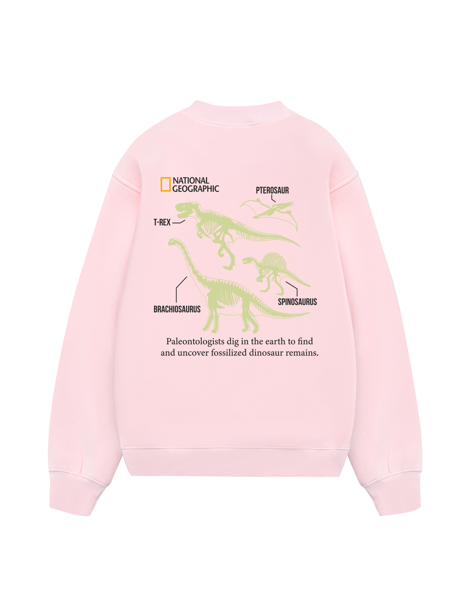 Wild Life World Of Dino Sweater