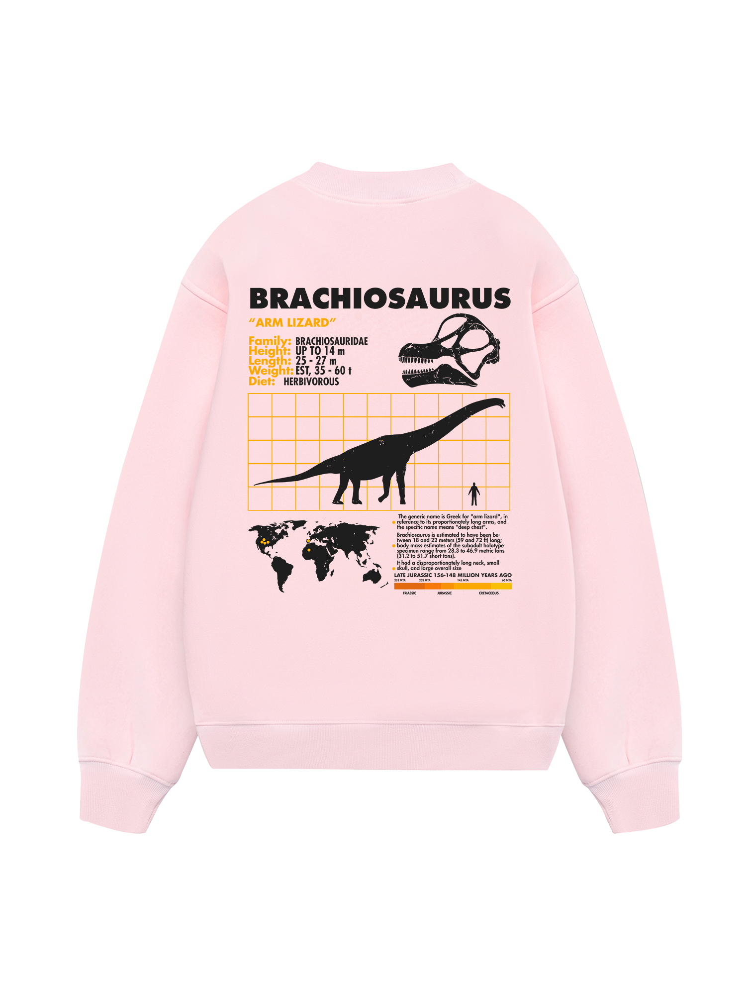 Wild Life Analysis Table Brachiosaurus Sweater