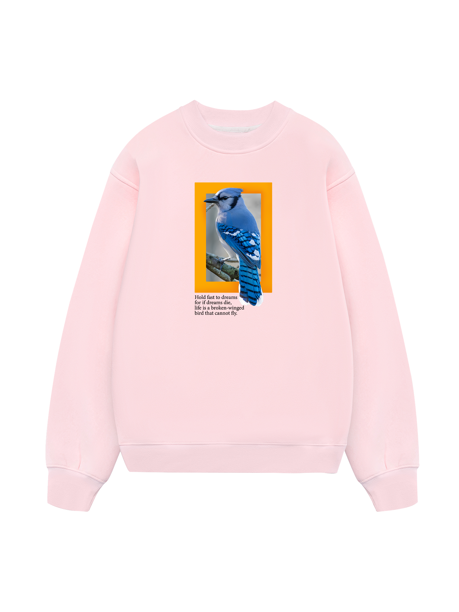 Wild Life Hold Fast To Dreams Sweater
