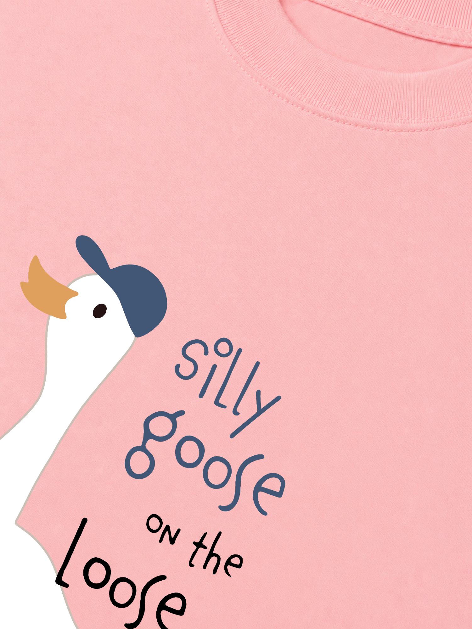 Áo Thun Relaxed Fit Farm Silly Goose On The Loose