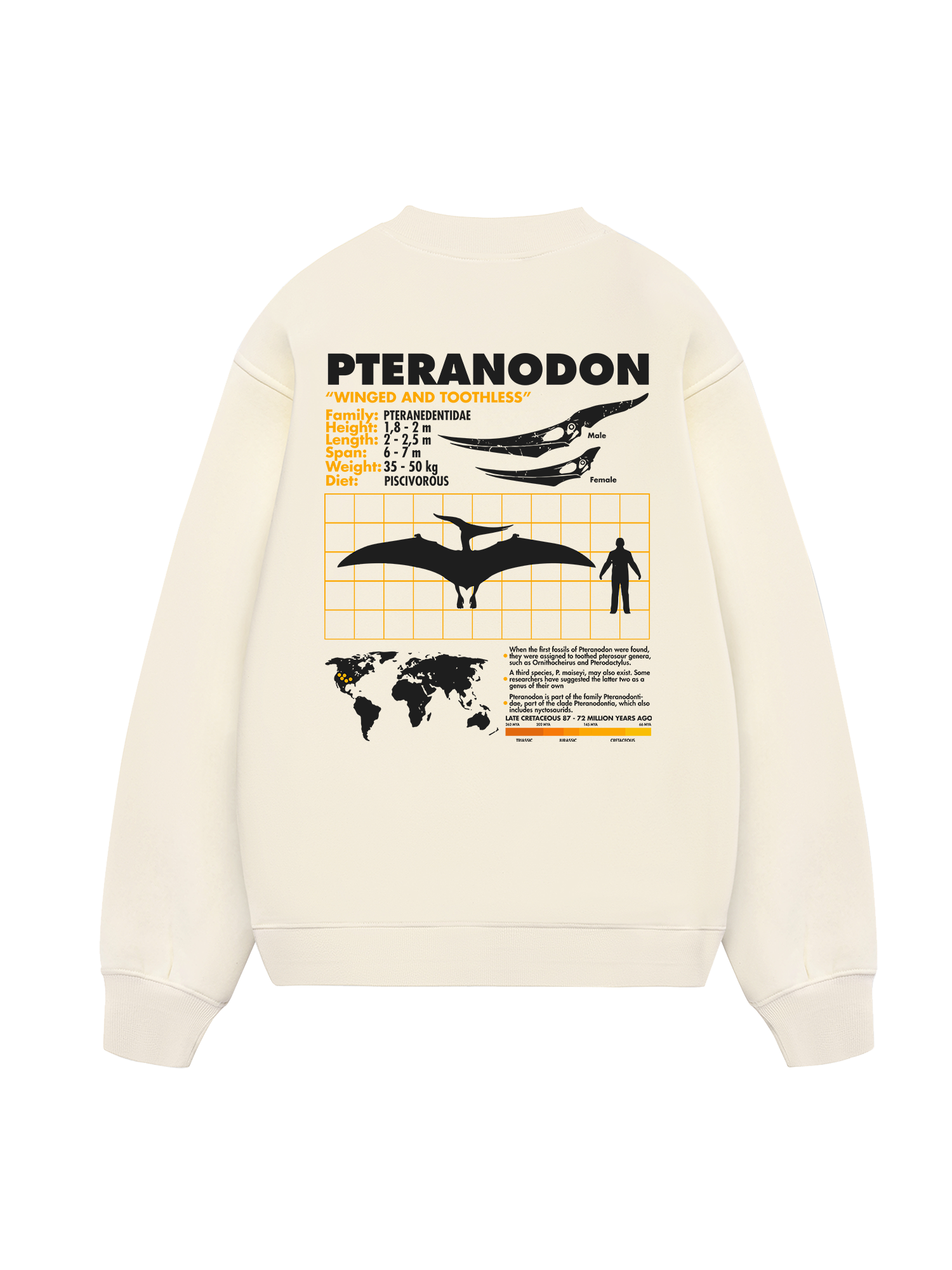 Wild Life Analysis Table Pteranodon Sweater