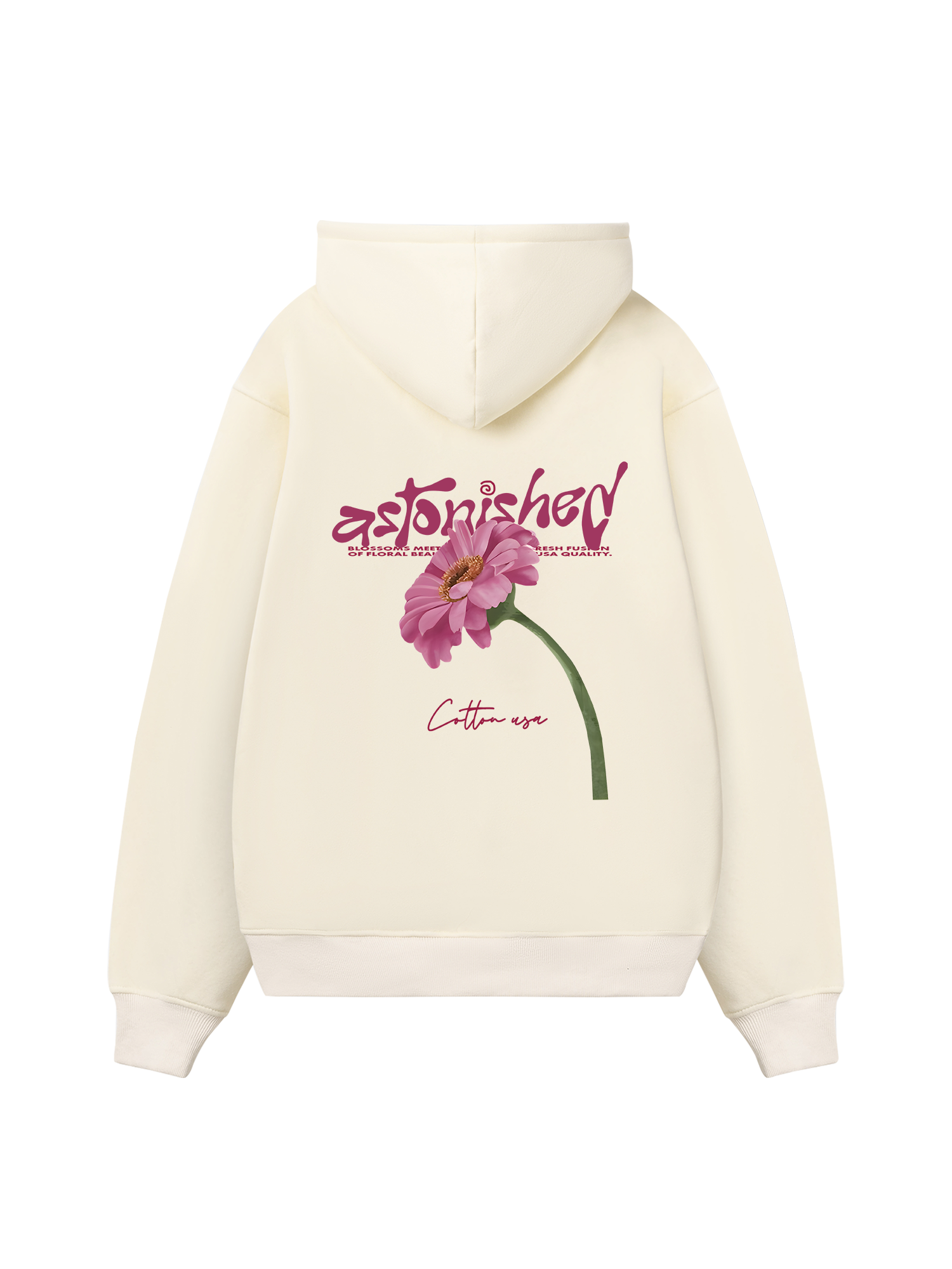 Astonishen Hoodie