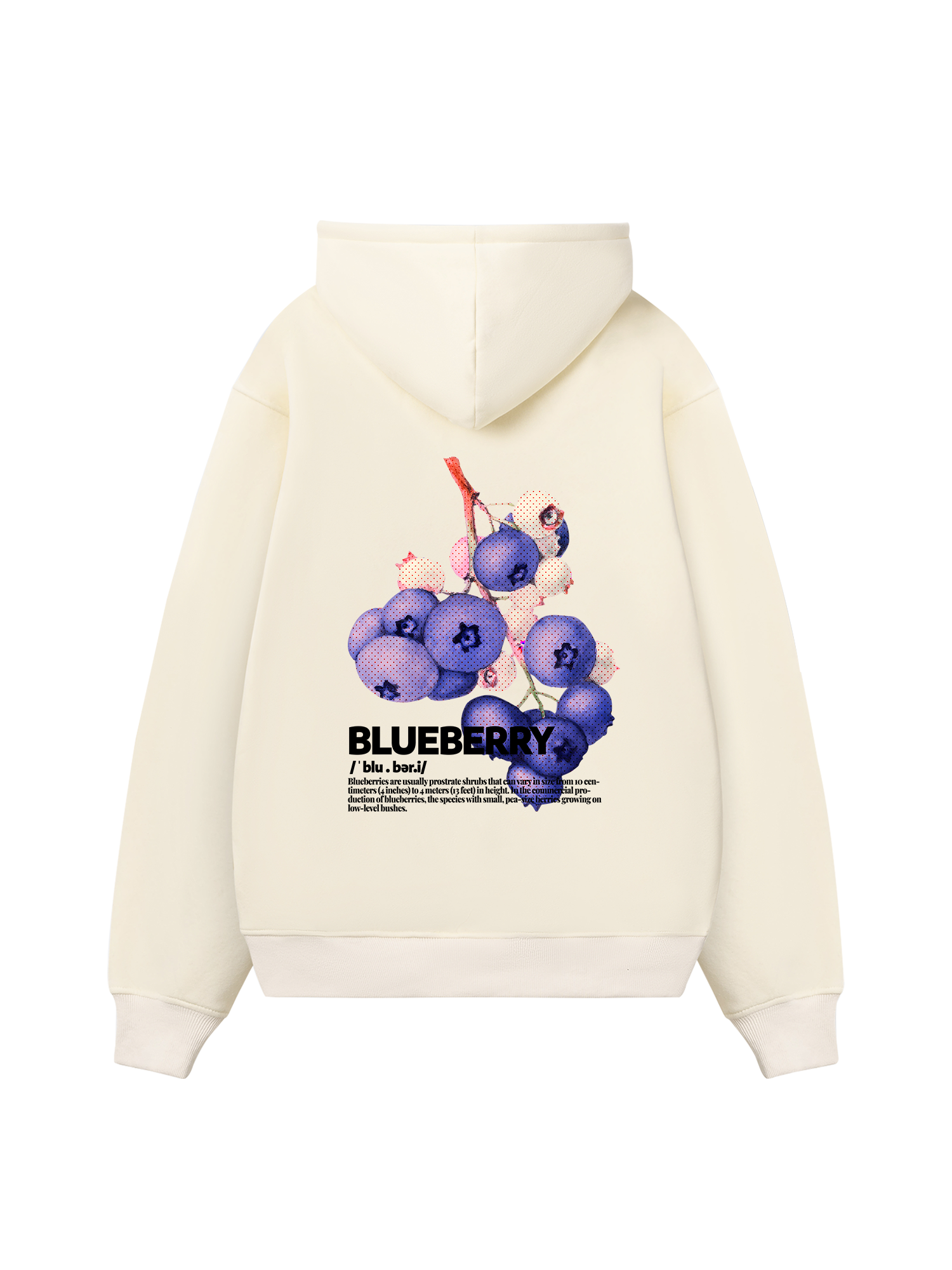 Tropical Blue Berry Retro Hoodie