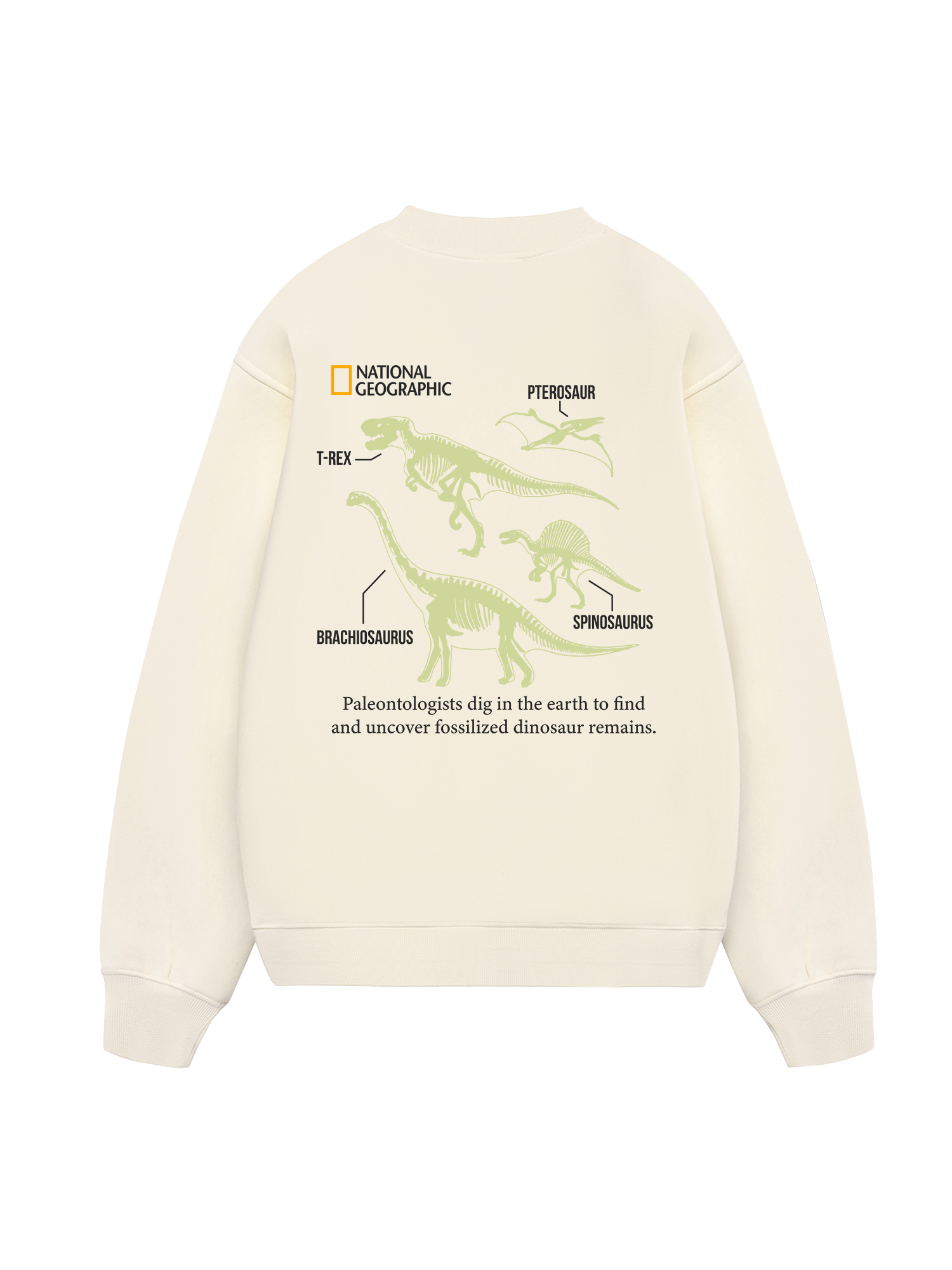 Wild Life World Of Dino Sweater