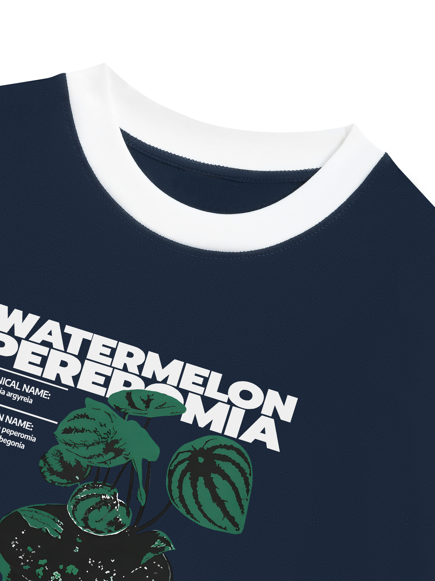 Áo Thun Ringer Relaxed Fit Tropical Watermelon Pereromia