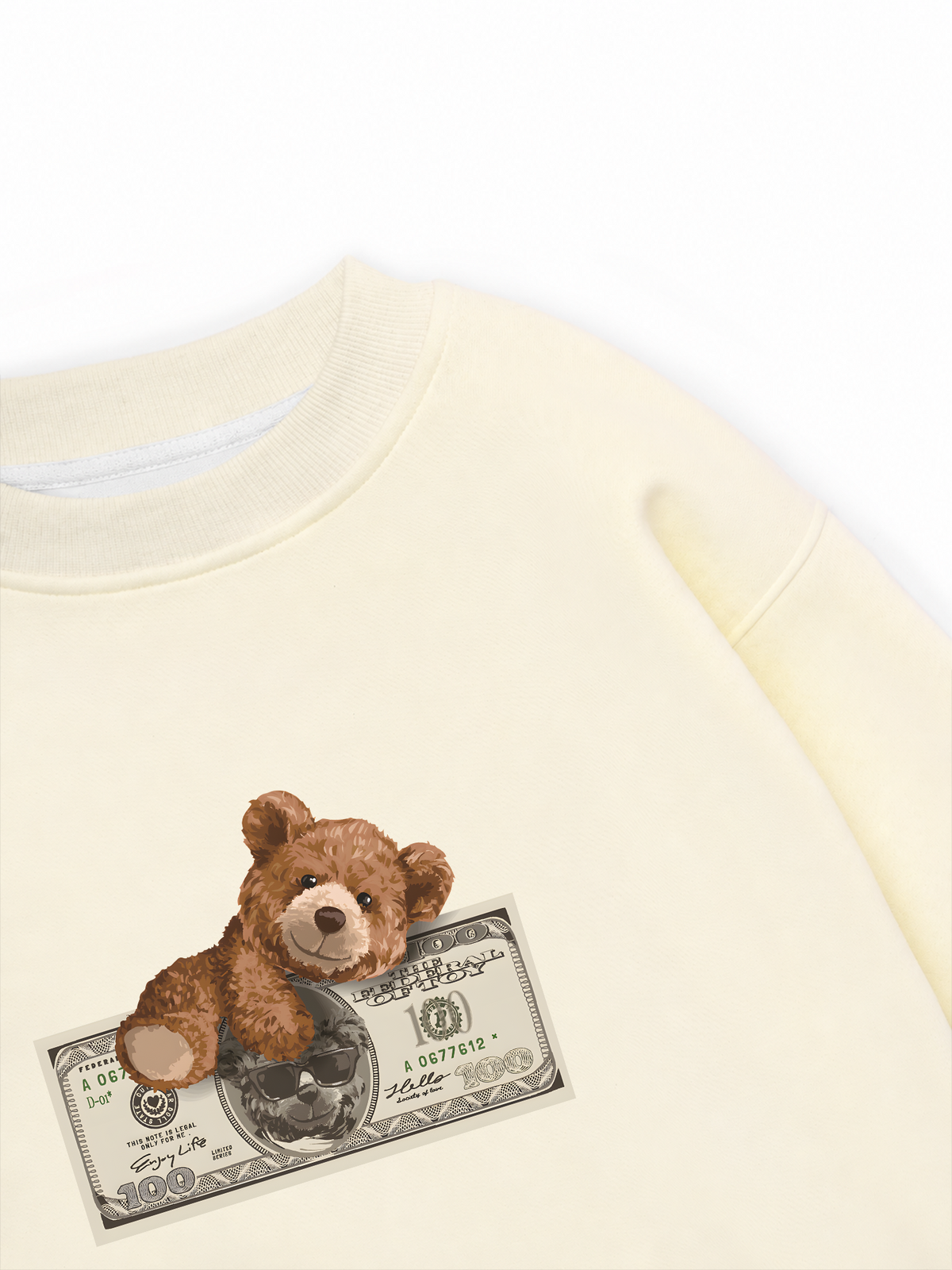 Áo Sweater Nỉ Hai Da Teddy Dolar