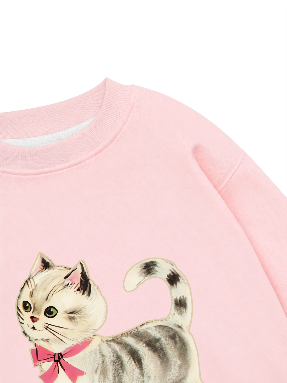 Áo Sweater Nỉ Hai Da Soft Paw Pet Friend Cat