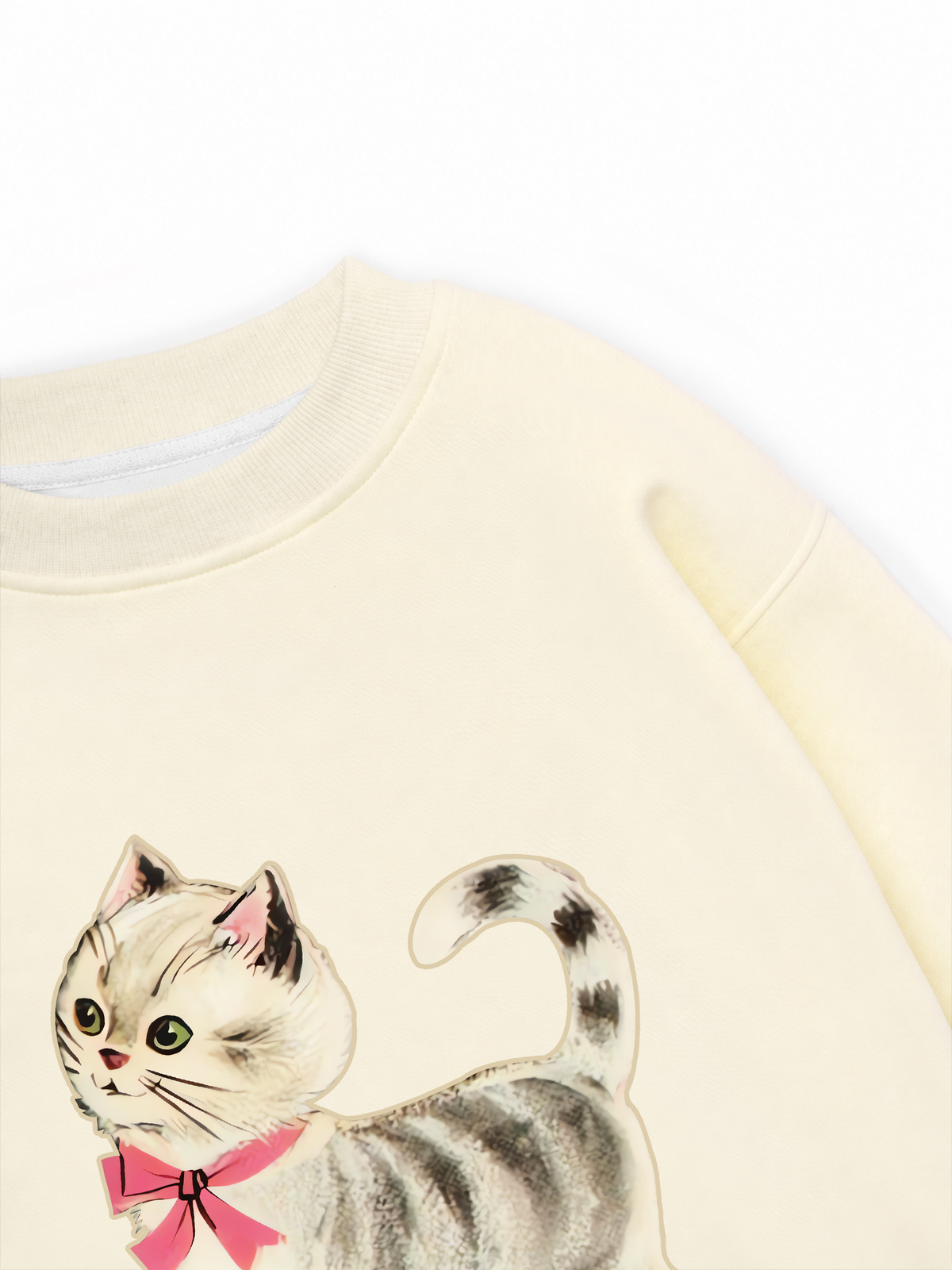 Áo Sweater Nỉ Hai Da Soft Paw Pet Friend Cat