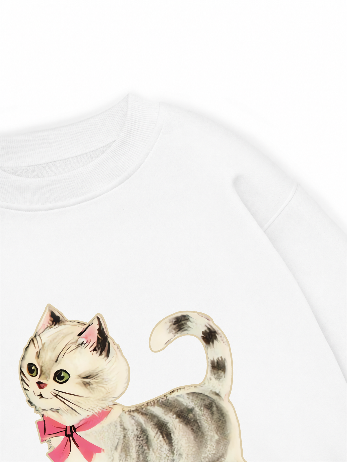 Áo Sweater Nỉ Hai Da Soft Paw Pet Friend Cat