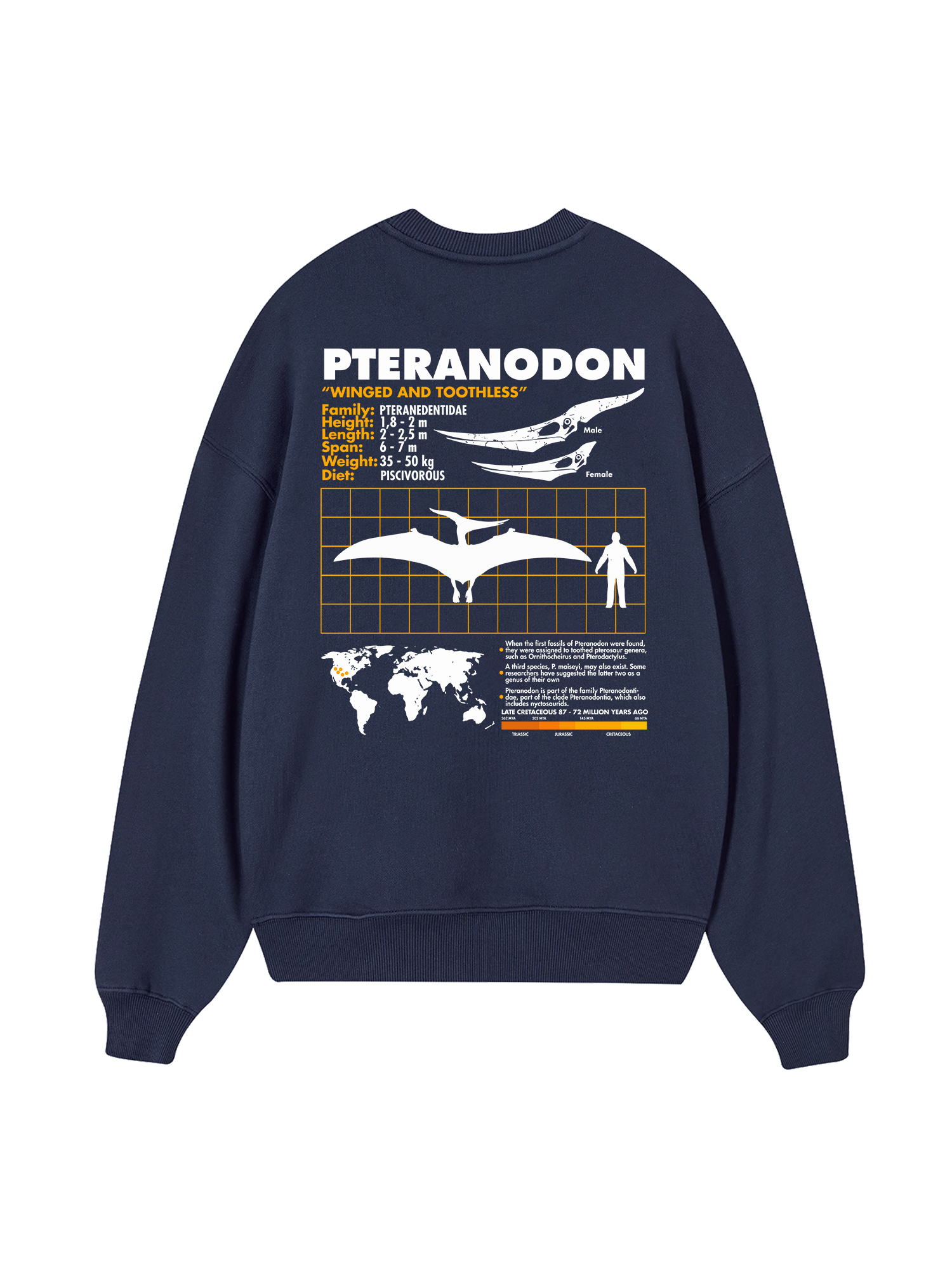 Wild Life Analysis Table Pteranodon Sweater