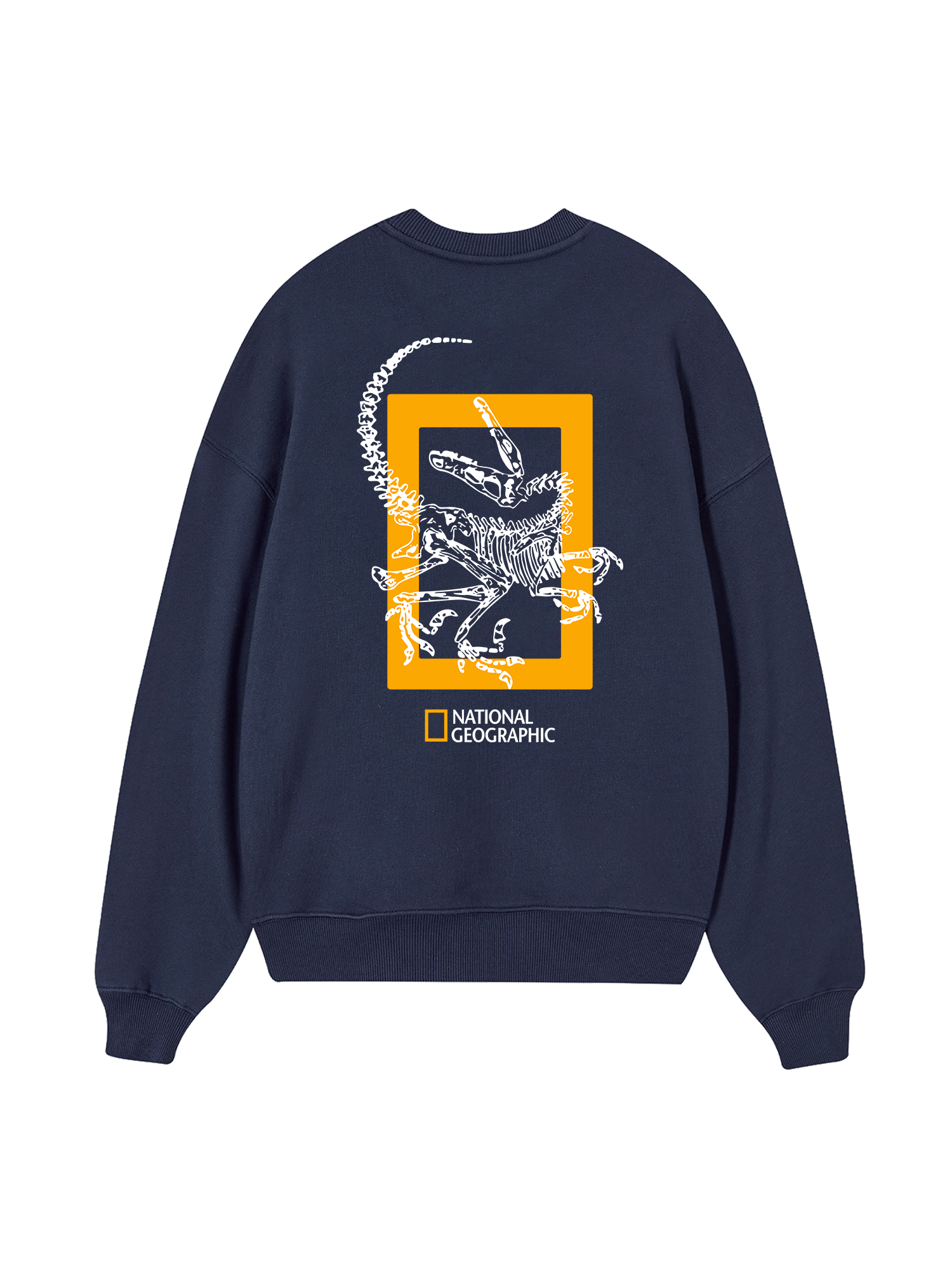 Wild Life The Fossil Raptor Sweater