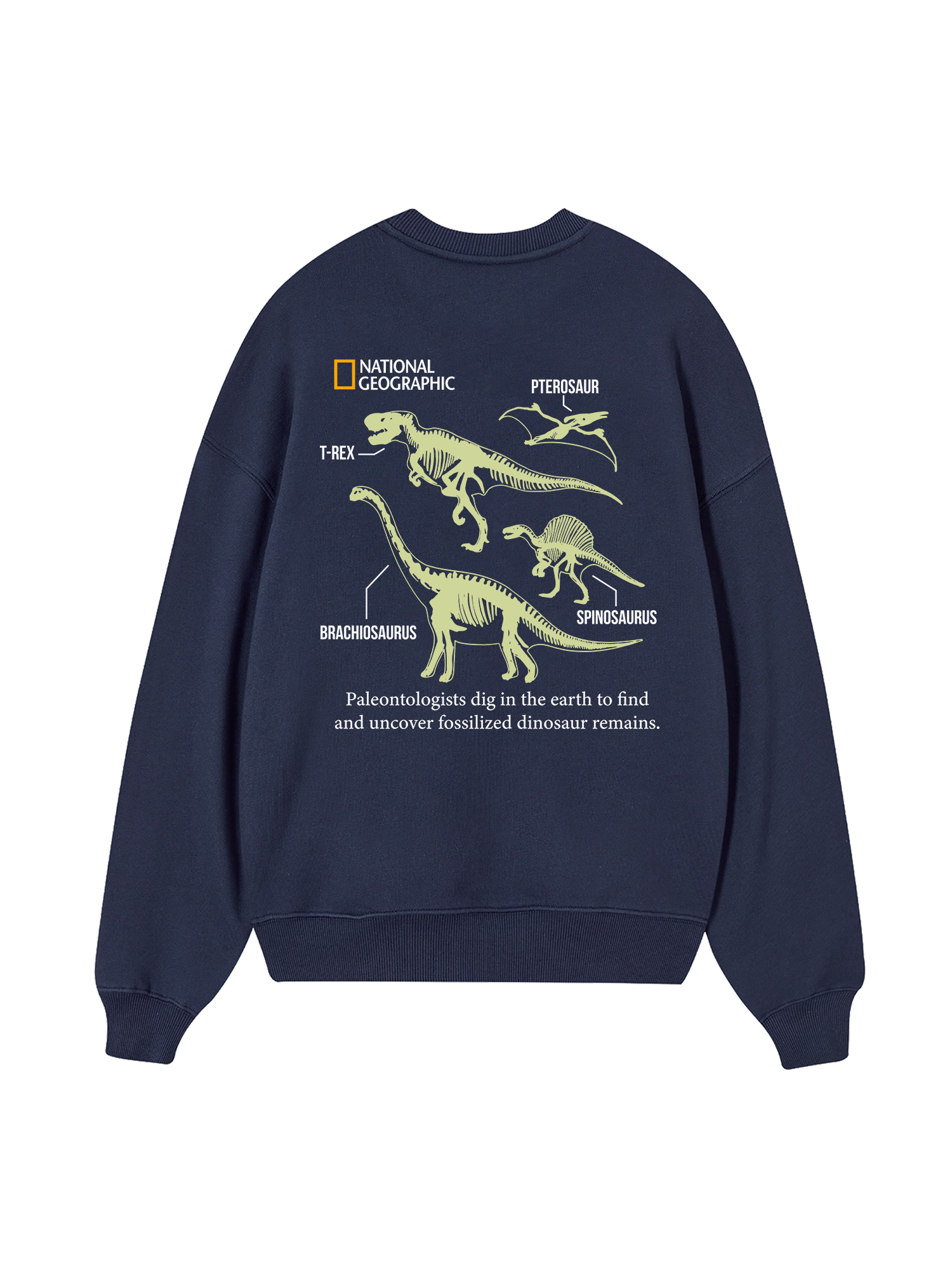 Wild Life World Of Dino Sweater