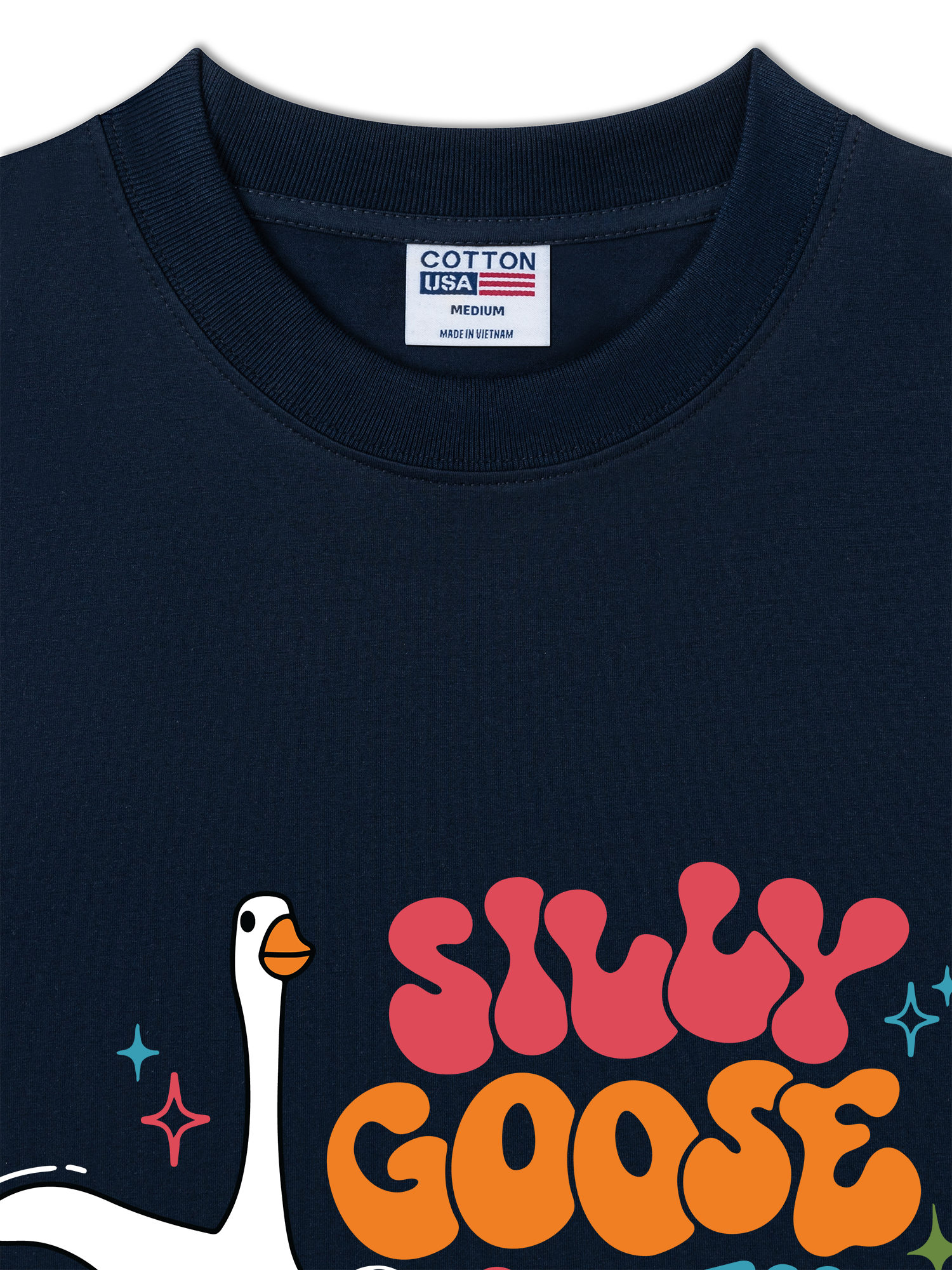 Áo Thun Relaxed Fit Farm Silly Goose On The Loose
