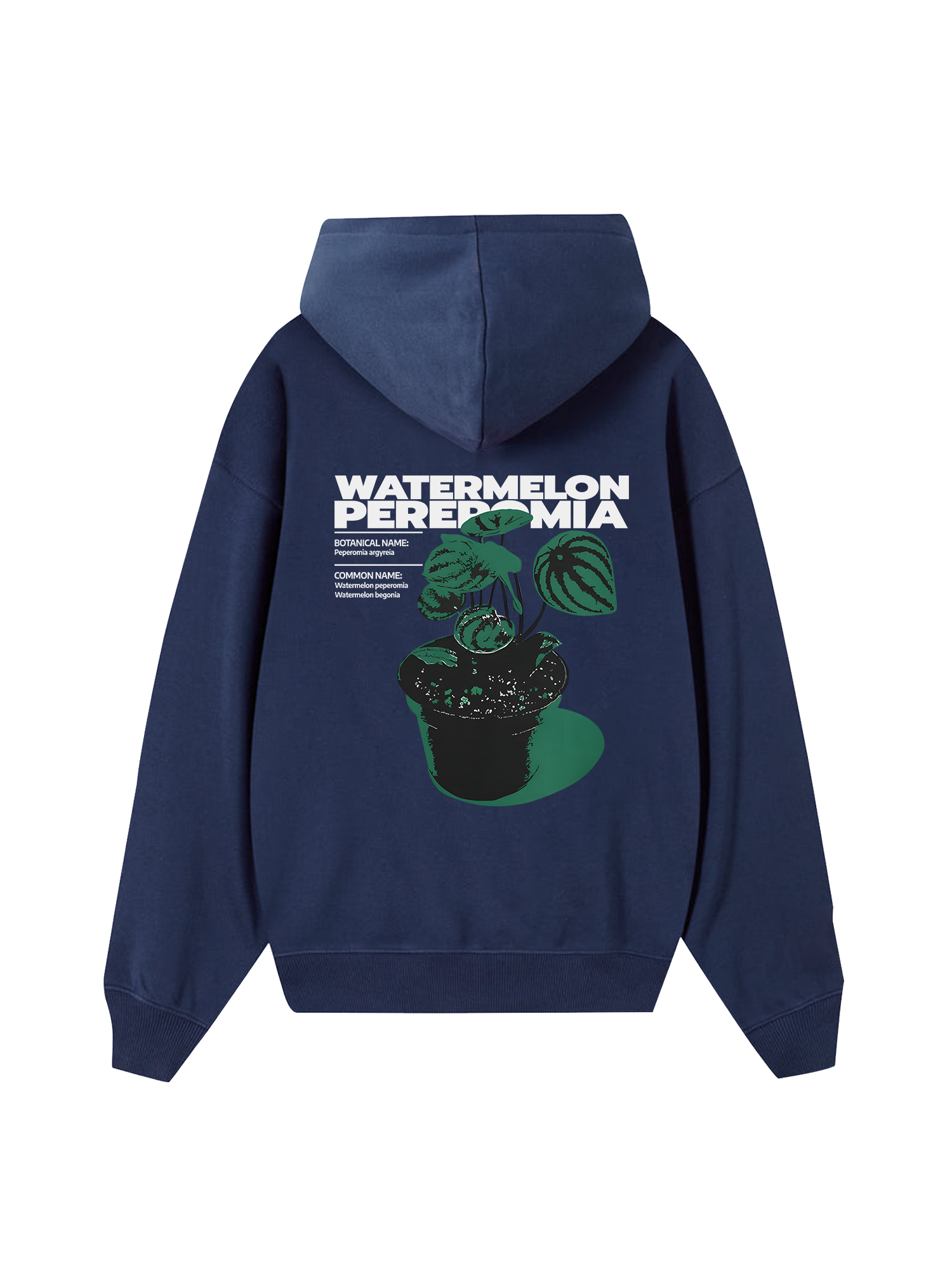 Tropical Watermelon Pereromia Hoodie