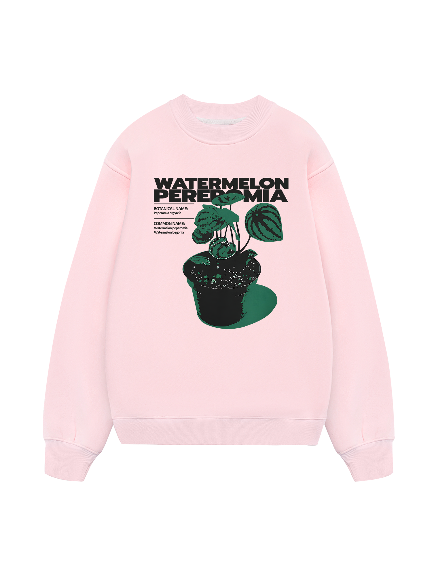 Tropical Watermelon Pereromia Sweater