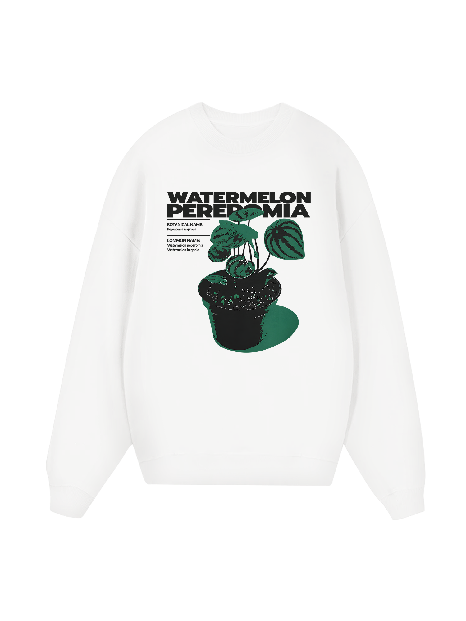 Tropical Watermelon Pereromia Sweater