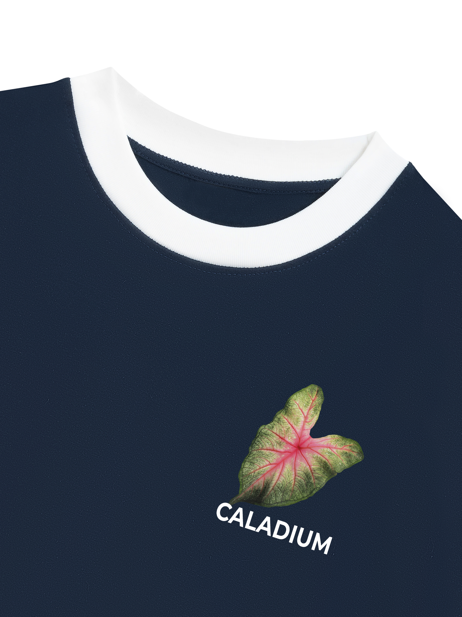 Áo Thun Ringer Relaxed Fit Tropical Leaf