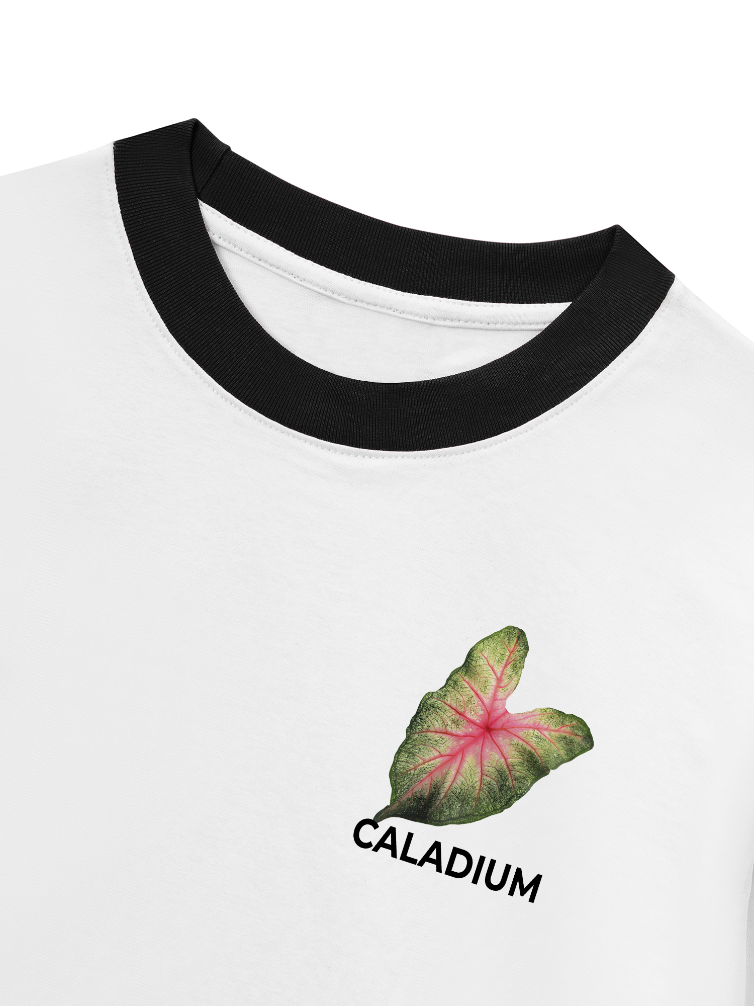 Áo Thun Ringer Relaxed Fit Tropical Leaf
