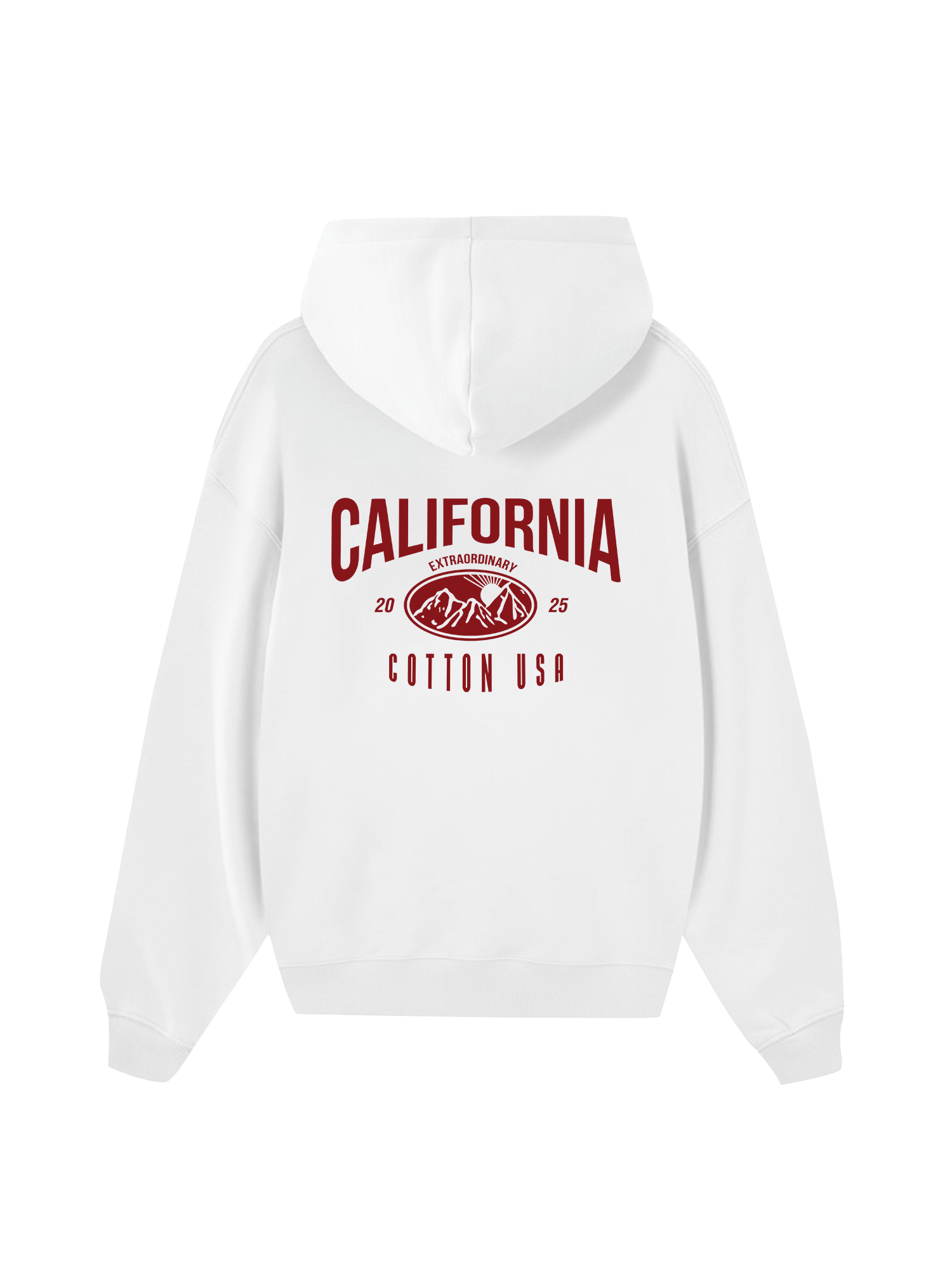 USA California Extraordinary Hoodie