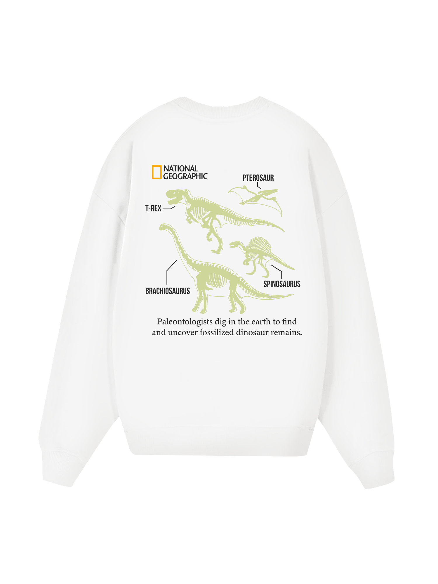 Wild Life World Of Dino Sweater