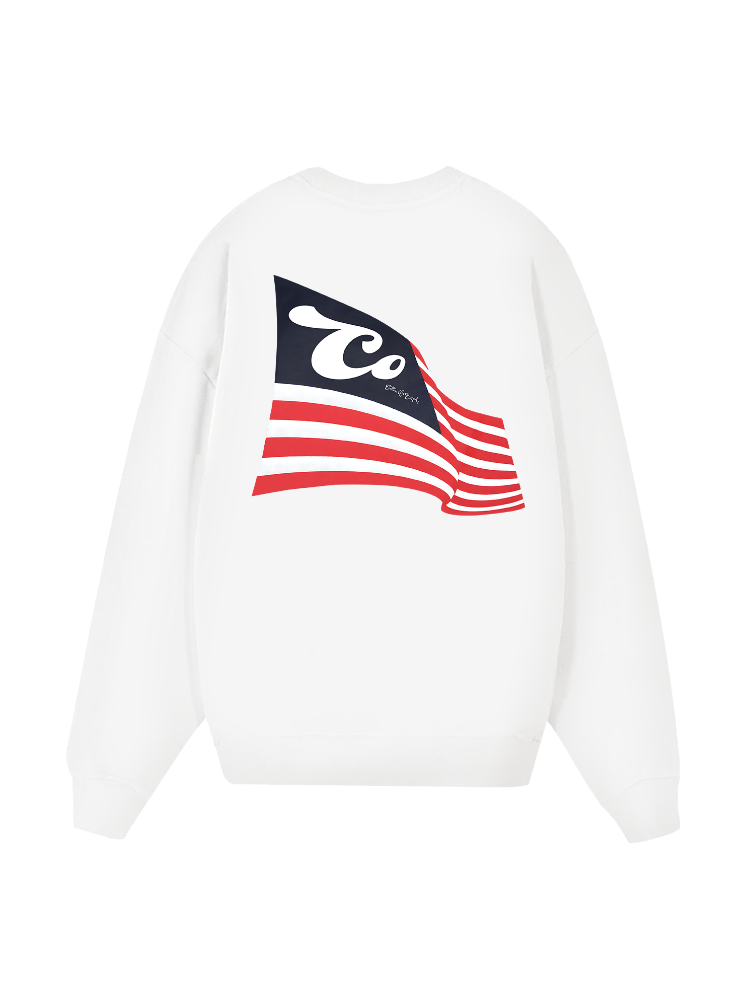 USA Cotton USA Flag Sweater