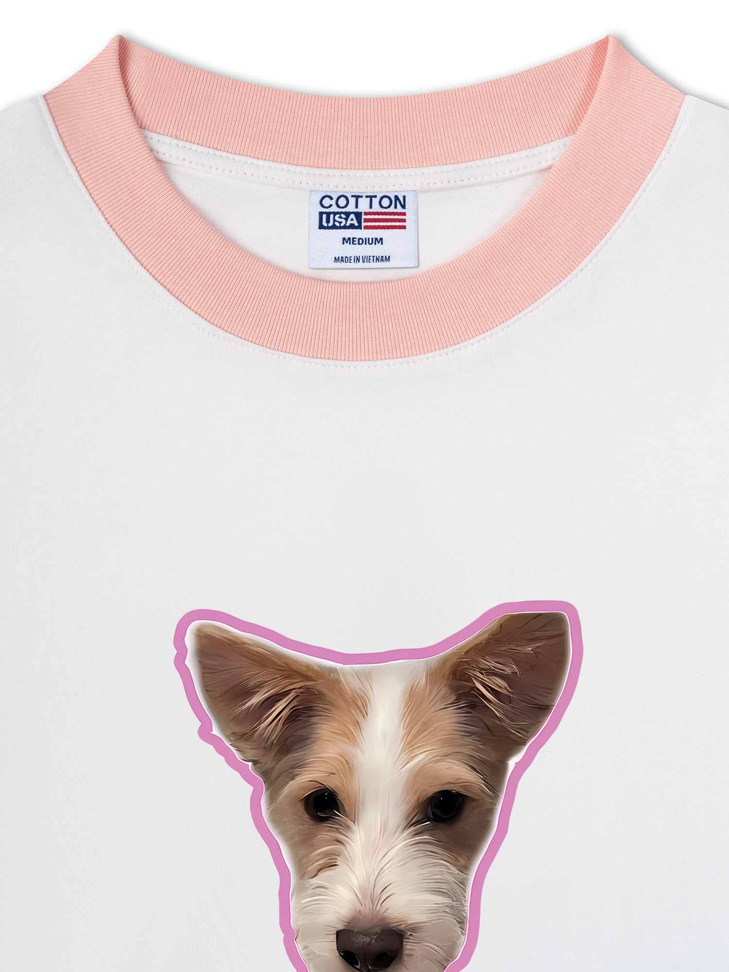 Áo Thun Ringer Relaxed Fit Black Pink Love Hank