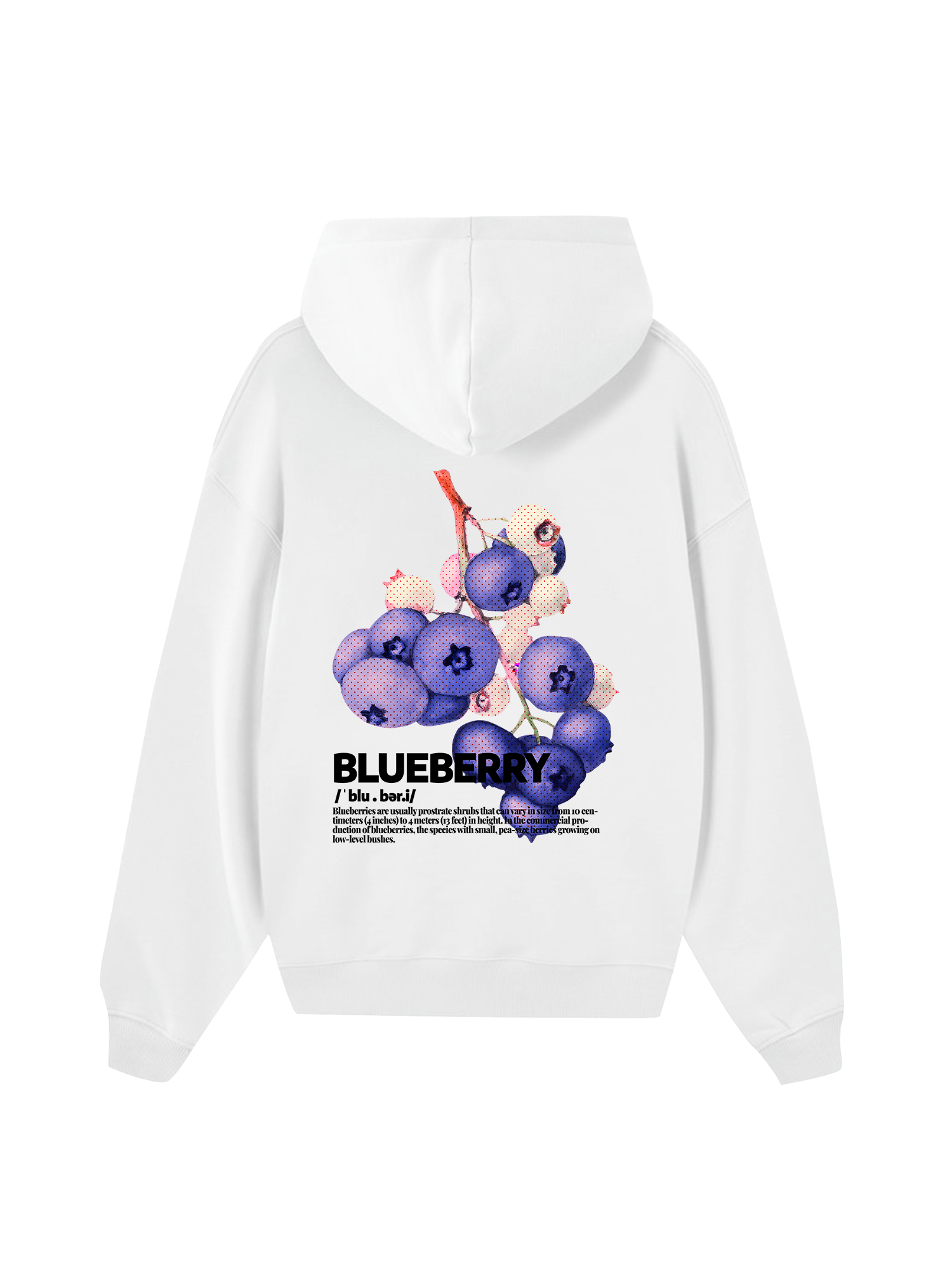 Tropical Blue Berry Retro Hoodie