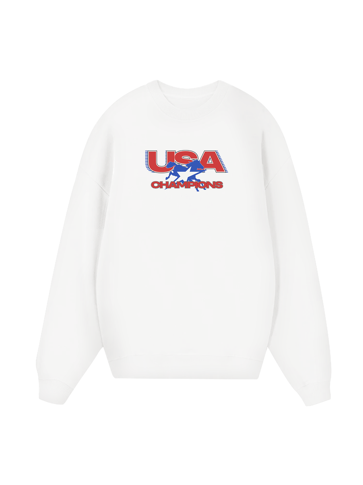 Champions Star Racer Sweater