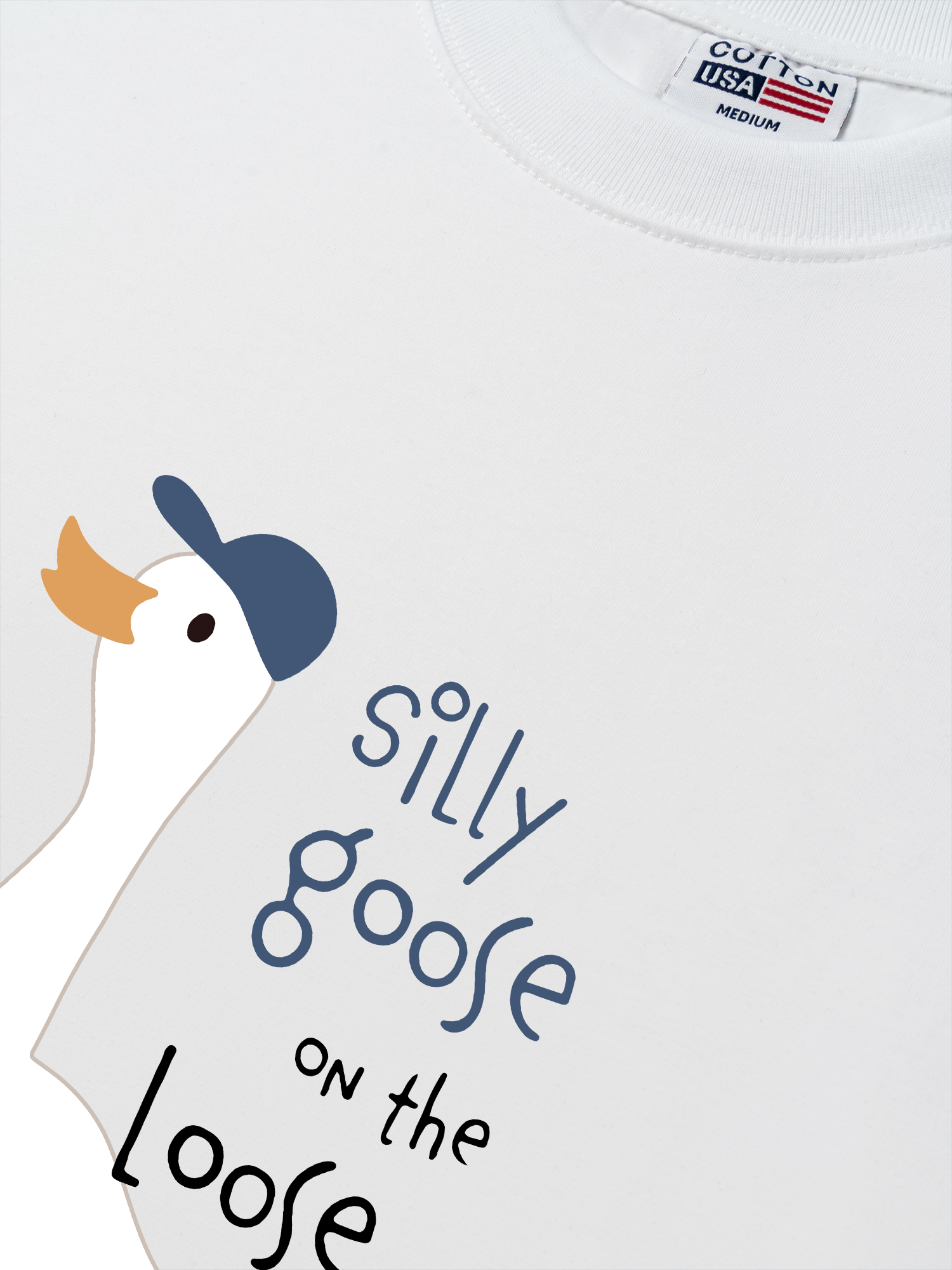 Áo Thun Relaxed Fit Farm Silly Goose On The Loose