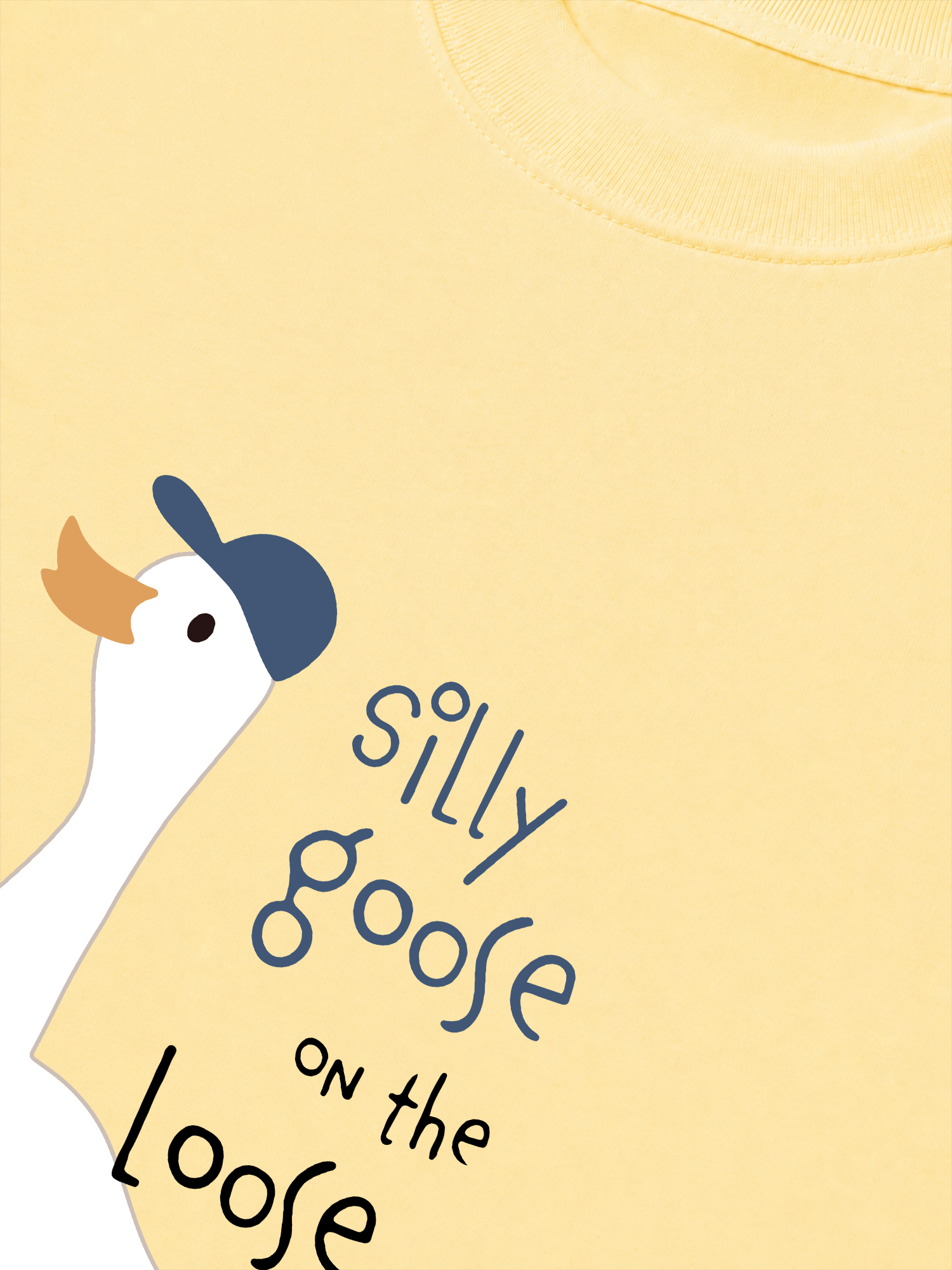 Áo Thun Relaxed Fit Farm Silly Goose On The Loose