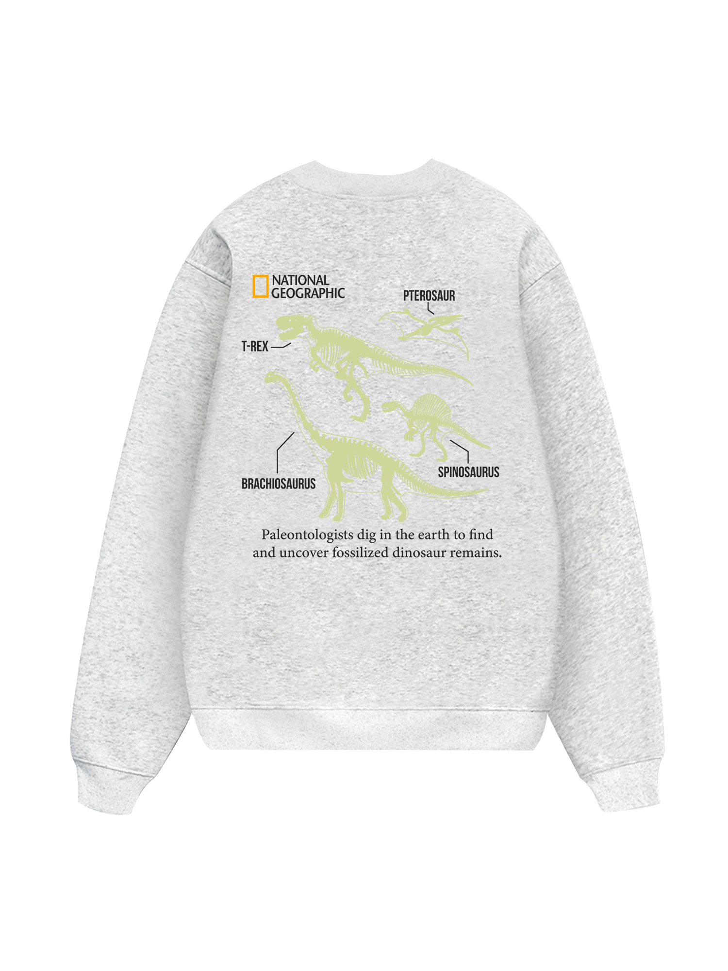 Wild Life World Of Dino Sweater