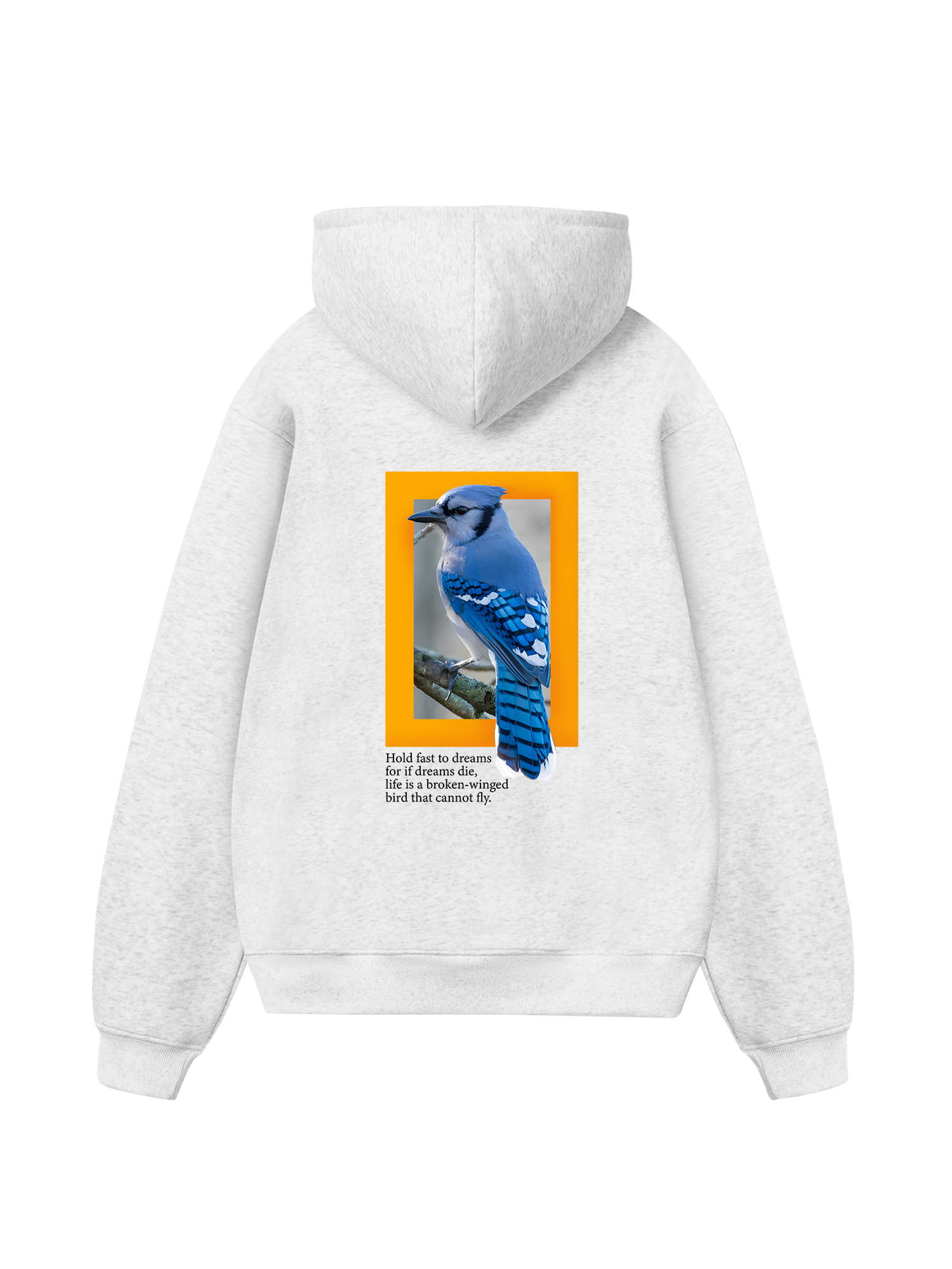 Wild Life Hold Fast To Dreams Hoodie