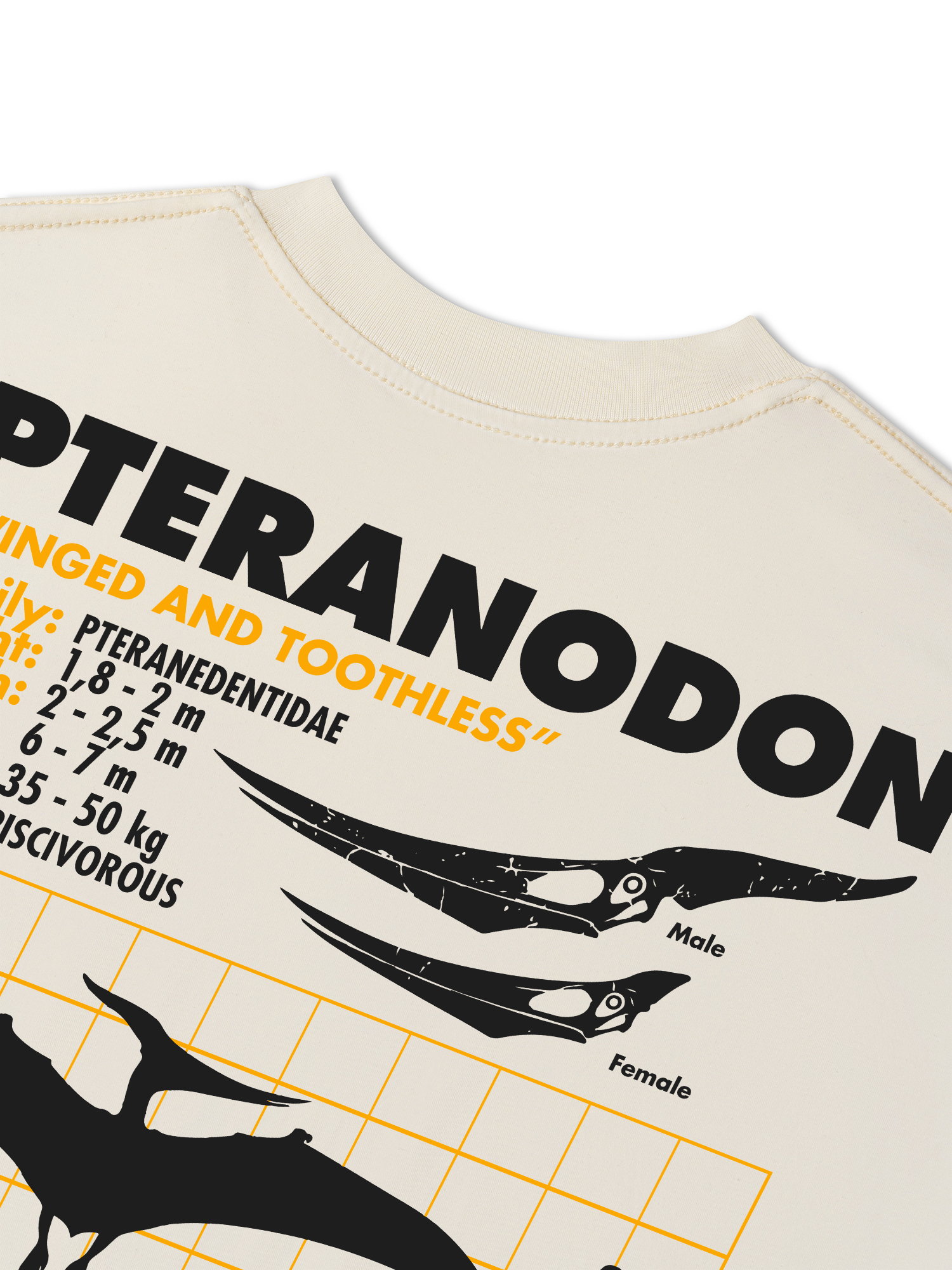 Áo Thun Relaxed Fit Wild Life Analysis Table Pteranodon