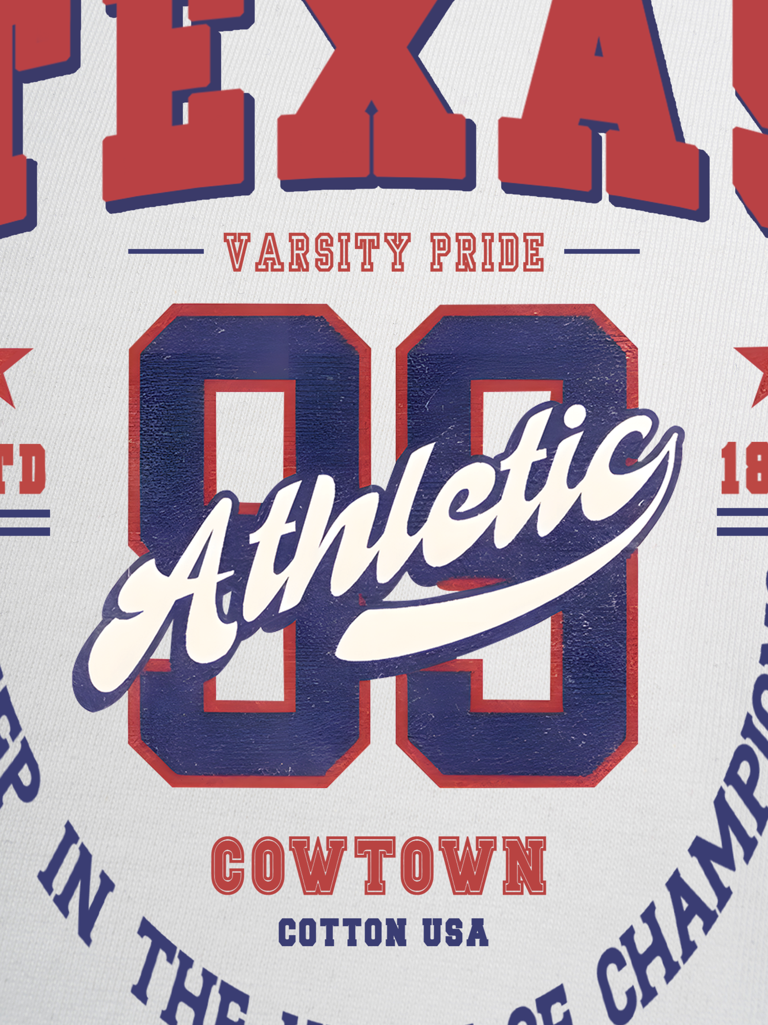 Áo Thun Ringer Relaxed Fit City Texas