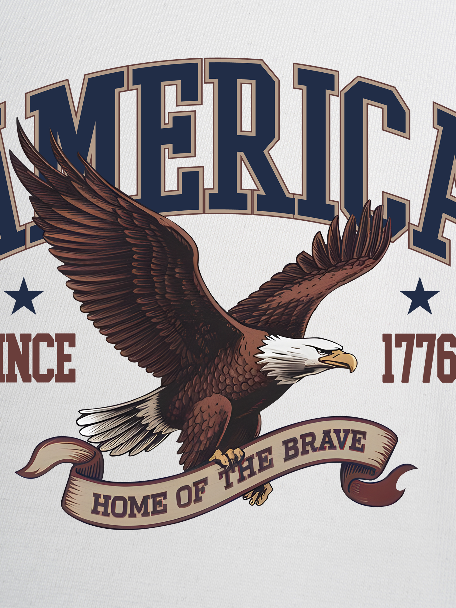 Áo Thun Ringer Relaxed Fit USA Home Of The Brave